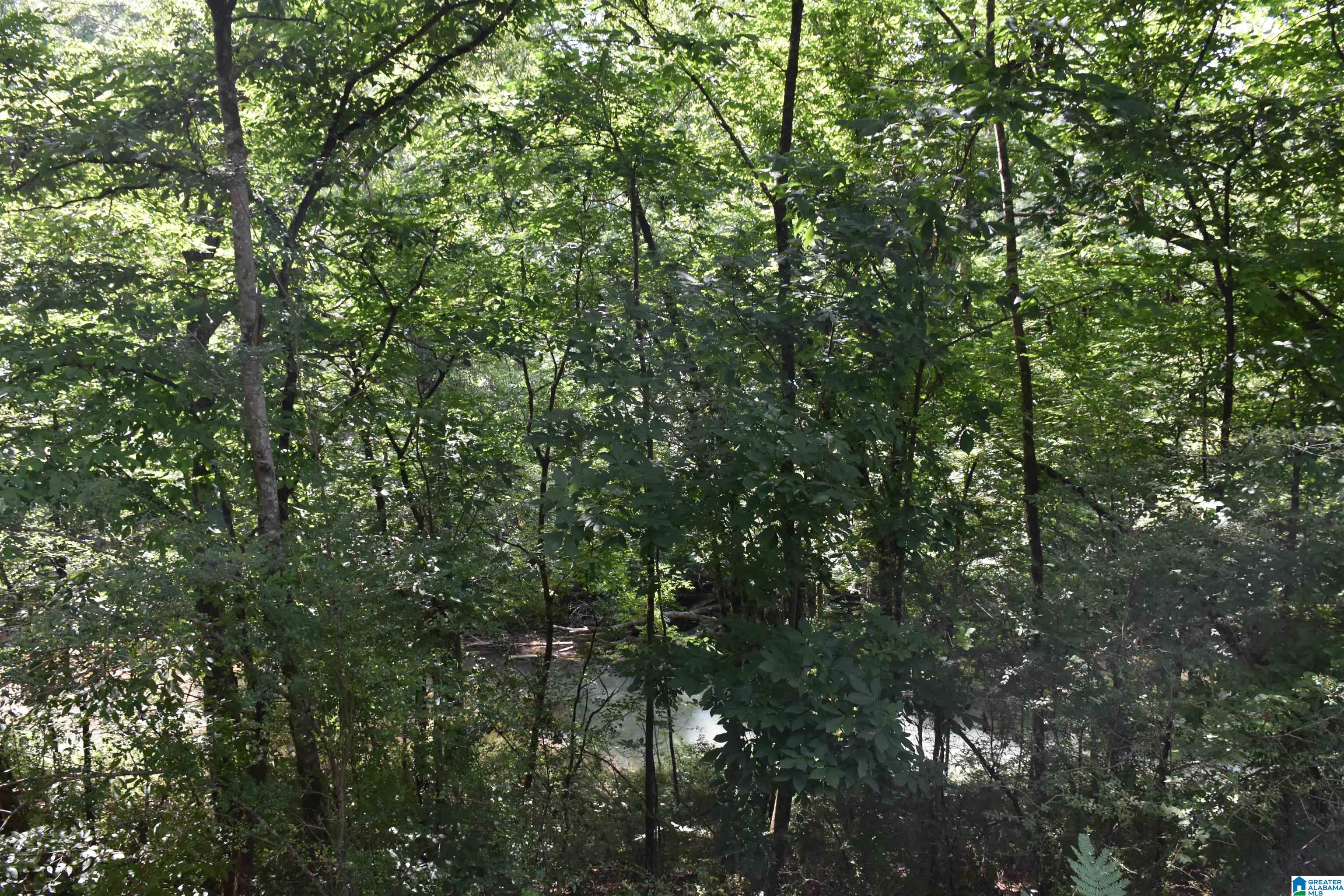 0 OLD SYLACAUGA HIGHWAY
