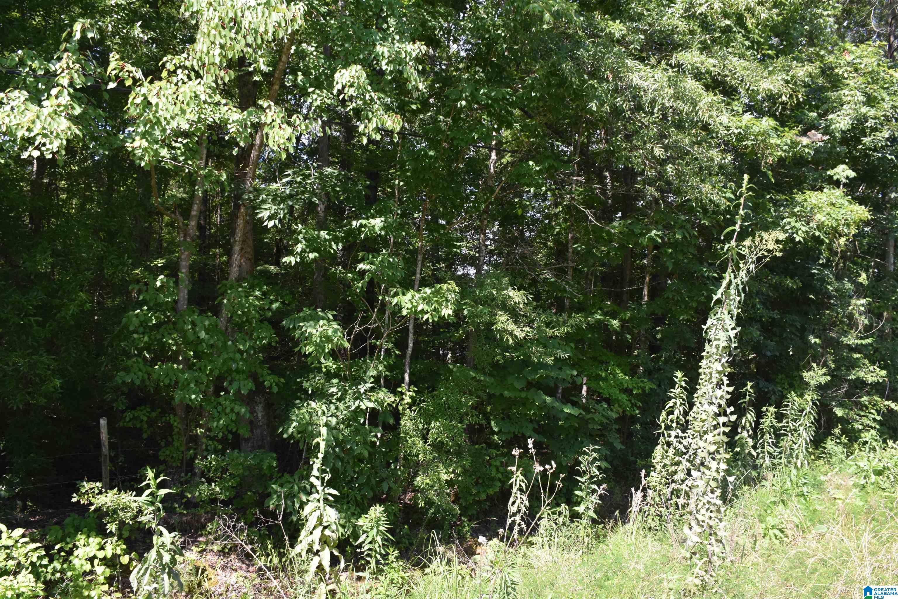 0 OLD SYLACAUGA HIGHWAY