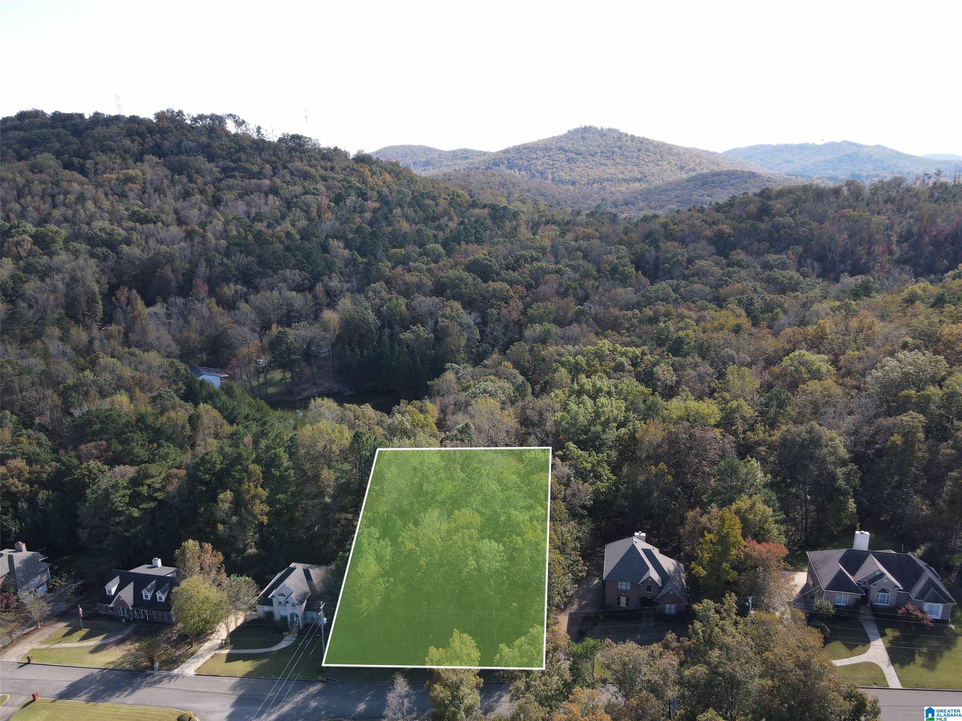6217 EMERALD FOREST DRIVE
