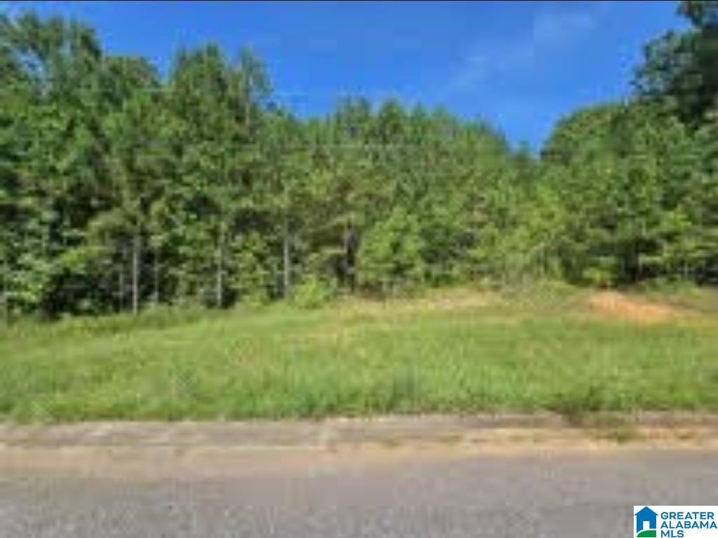 Lot 24 WOODHAVEN DRIVE