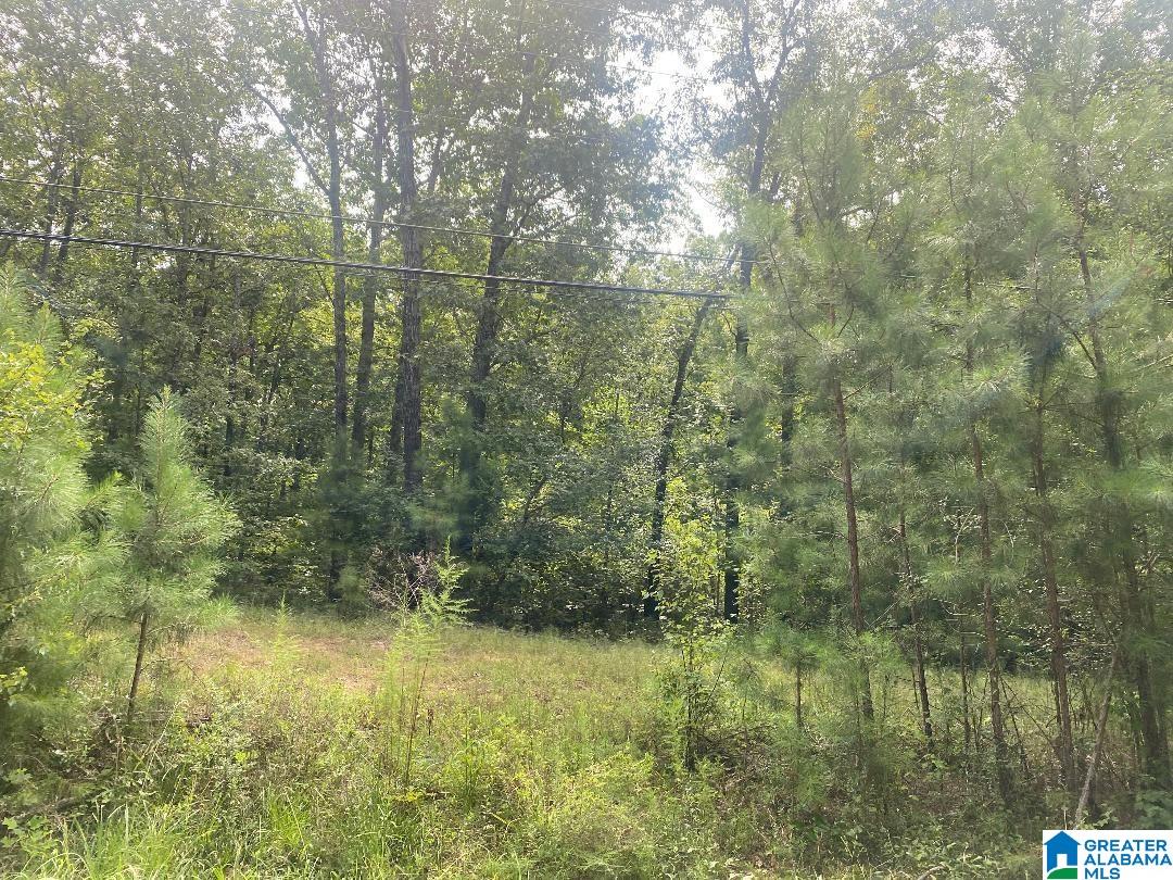 Lot 5 N WALSTON BRIDGE ROAD