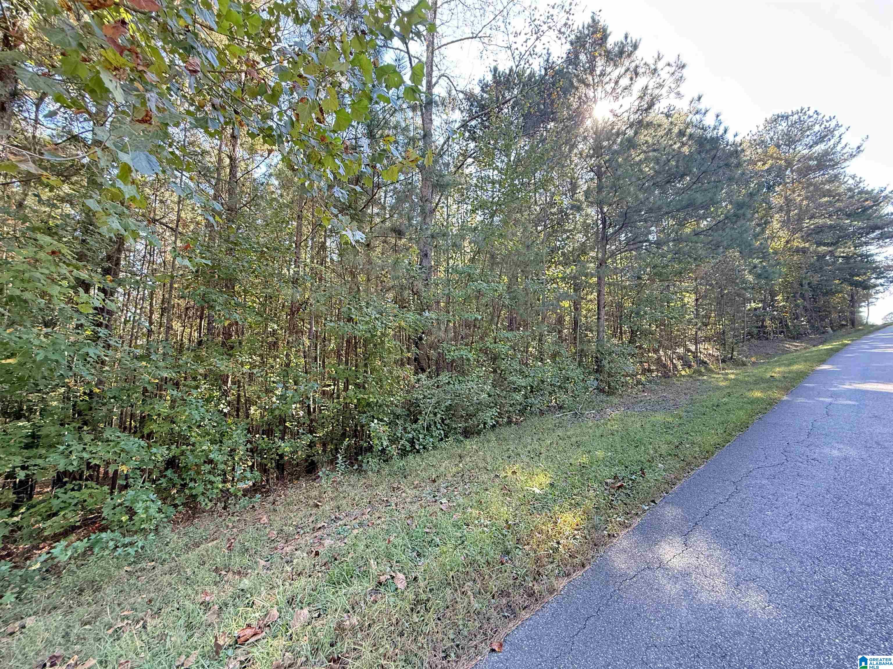 803 HUNTERS CROSSING ROAD