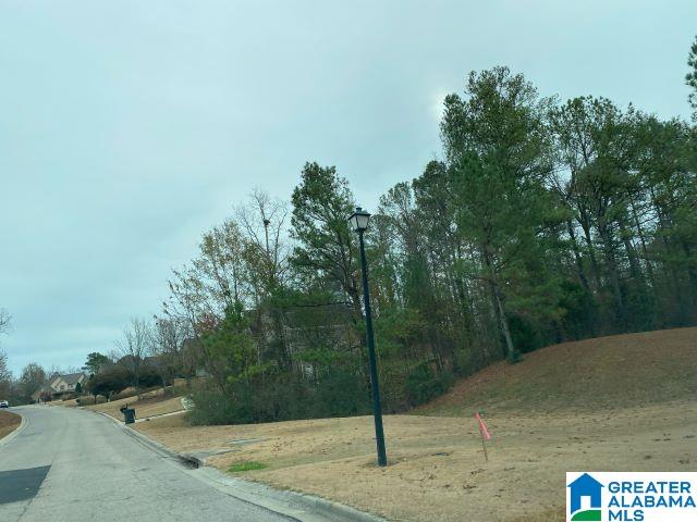 Homes for sale in Calera, AL | 501 Timberline Trail, Calera, AL 35040 | MLS# 21401702