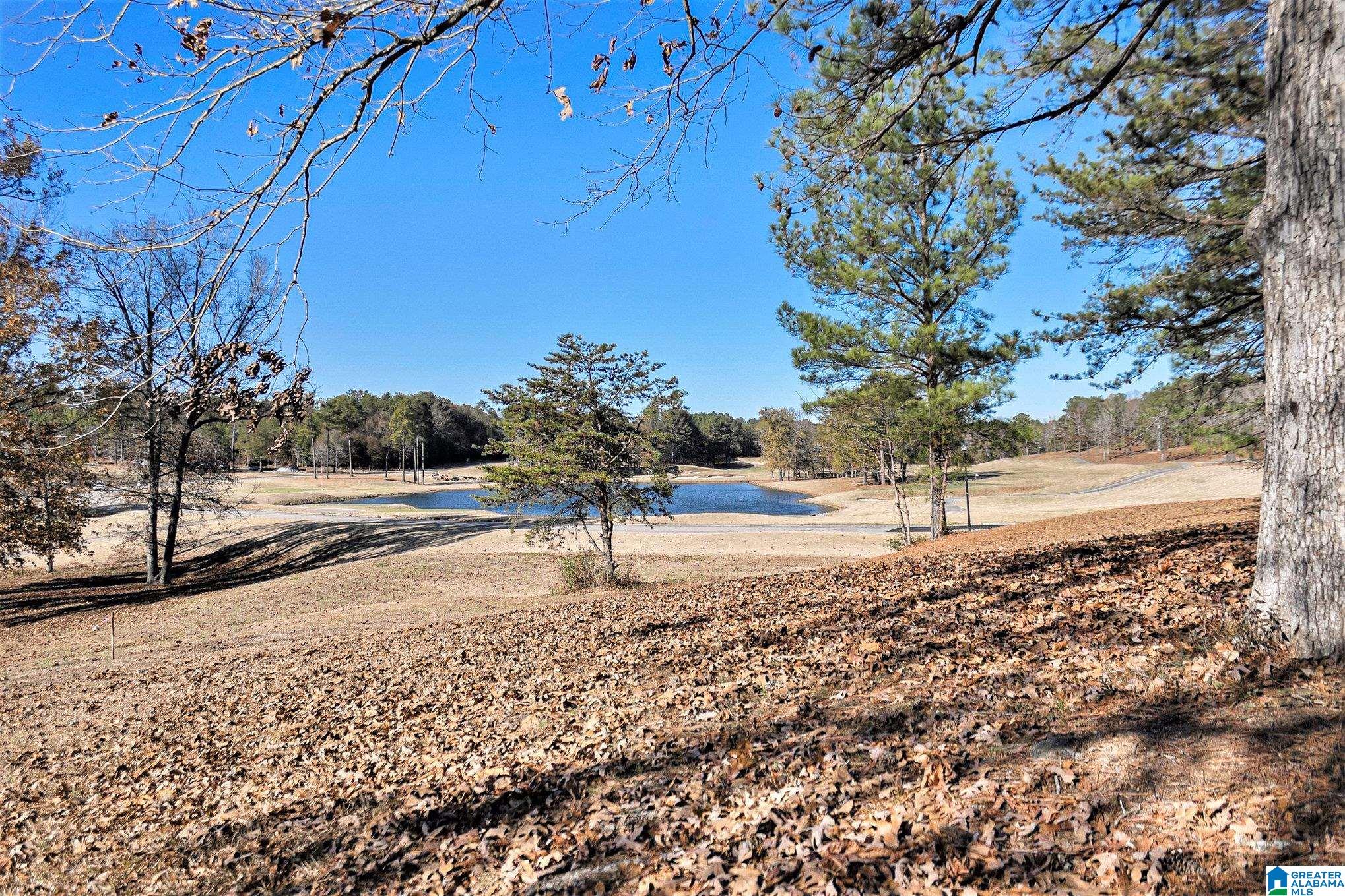 Homes for sale in Calera, AL | 501 Timberline Trail, Calera, AL 35040 | MLS# 21401702