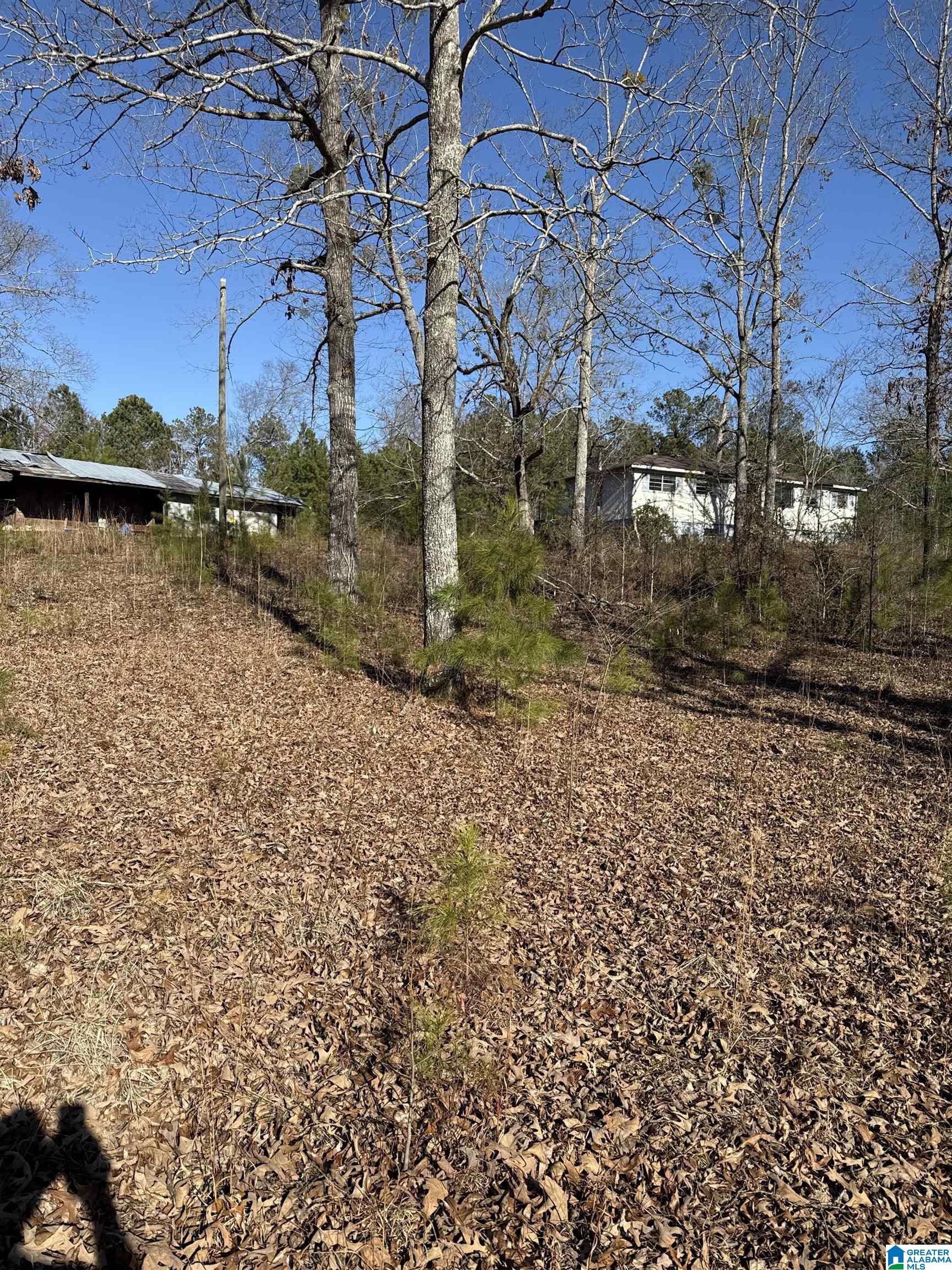 194 HUNTERS LANE