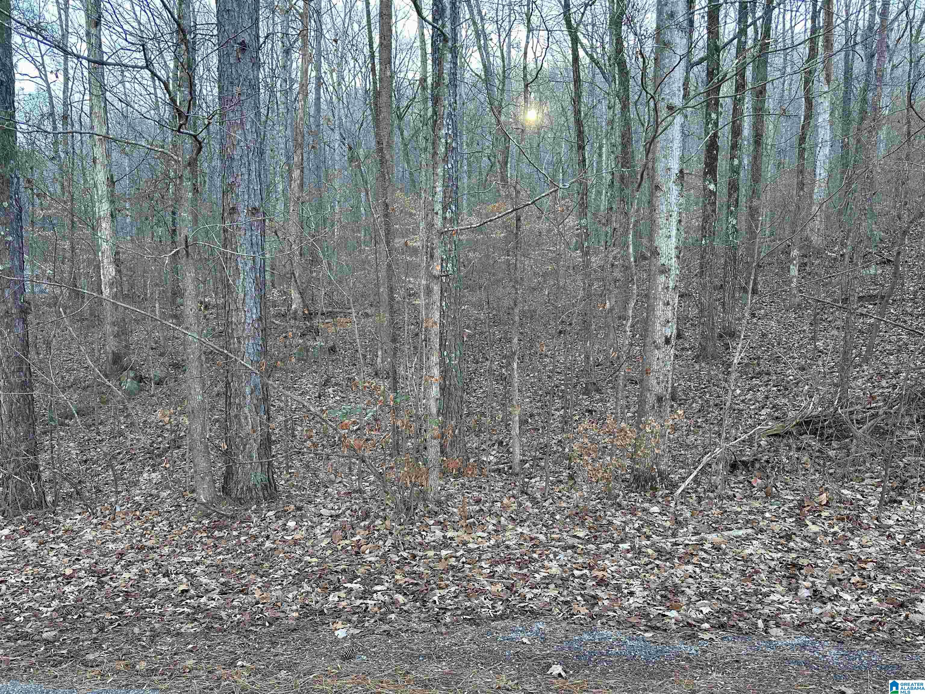 0 VALLEY LANE