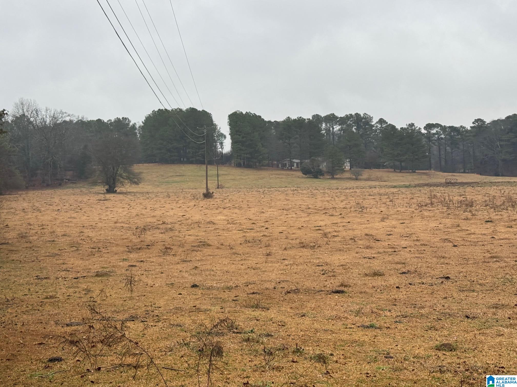 0 LOGAN MARTIN DAM ROAD