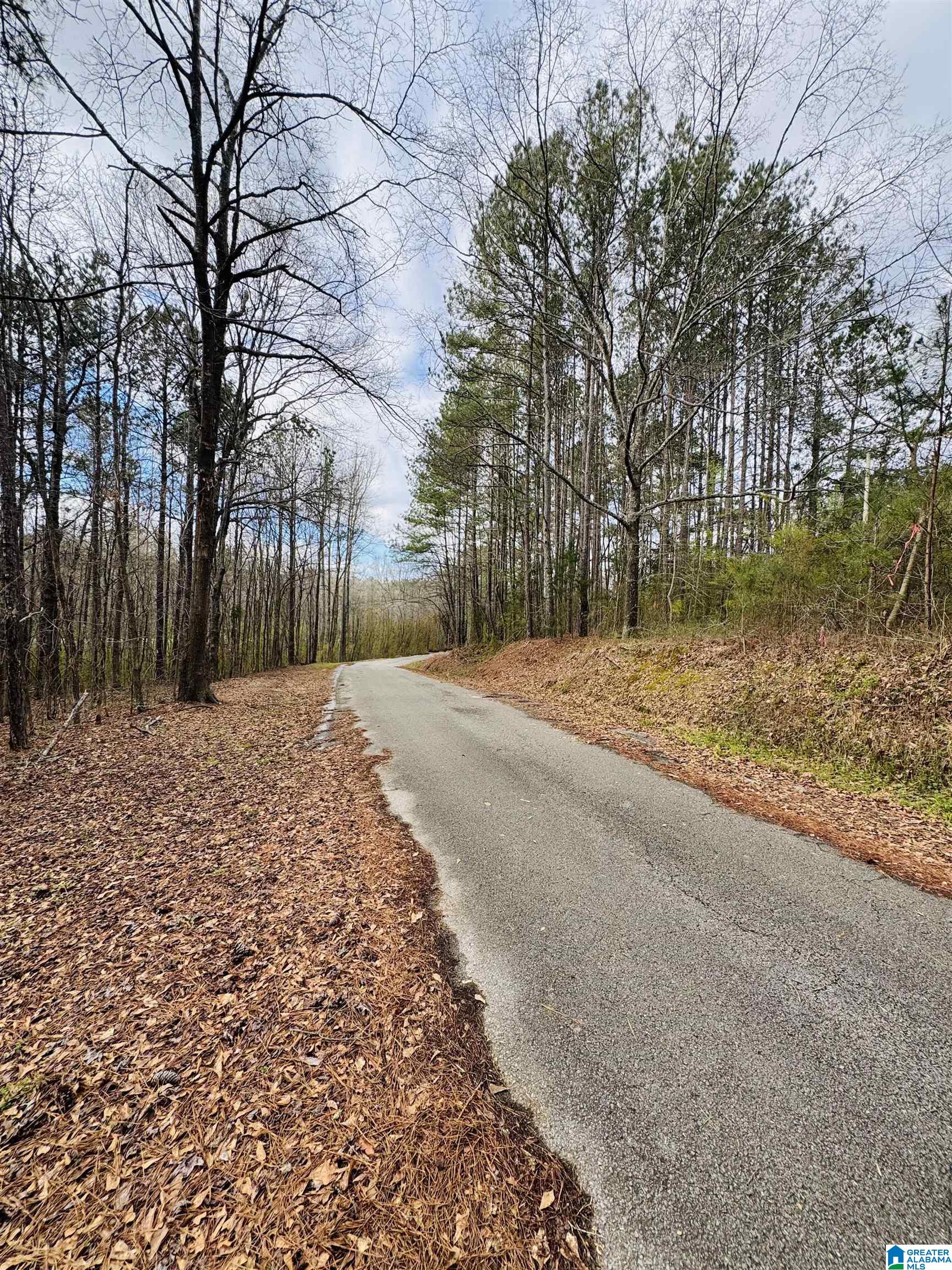 10 MOUNTAIN CREST ROAD