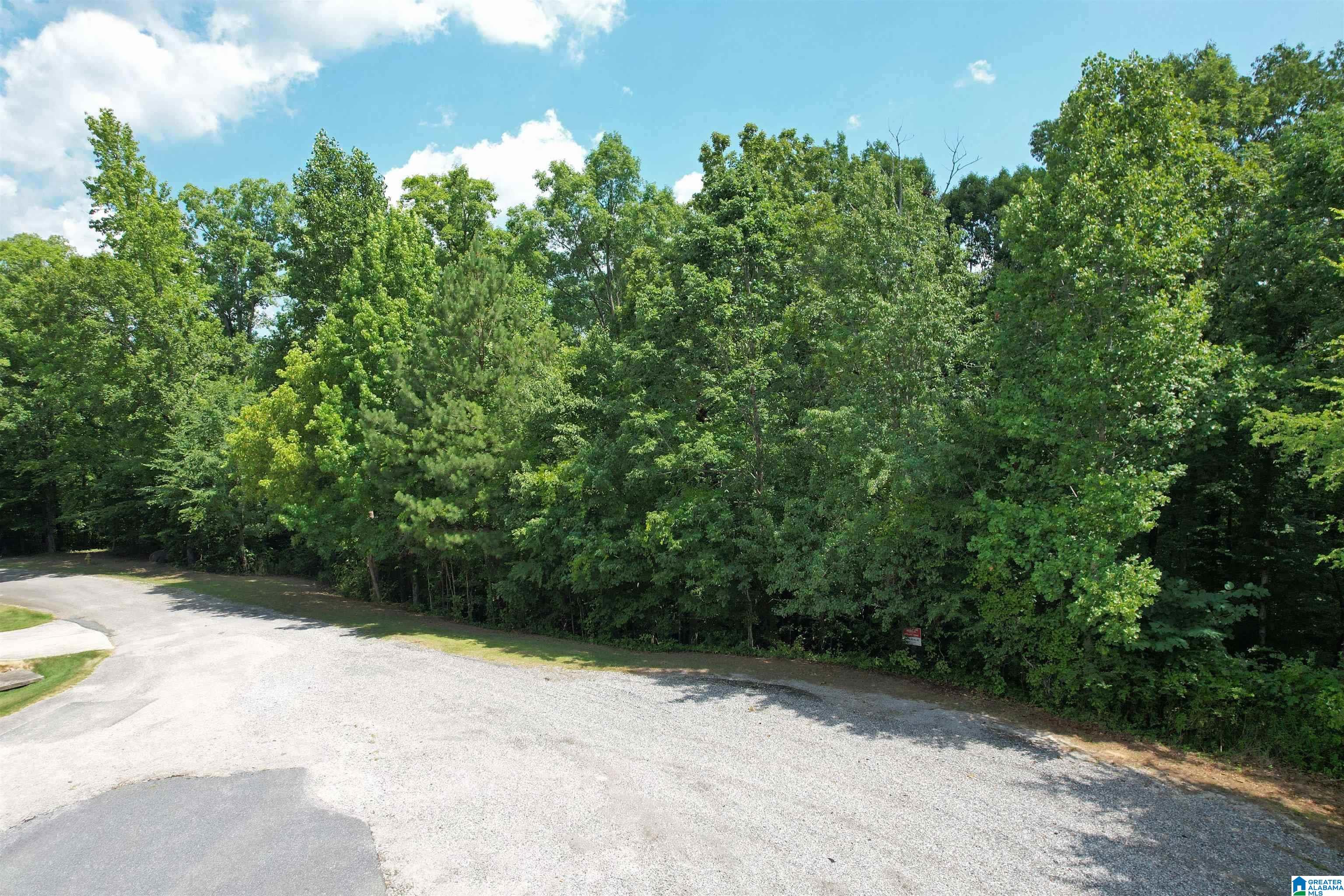 0 WEATHERTON TRAIL