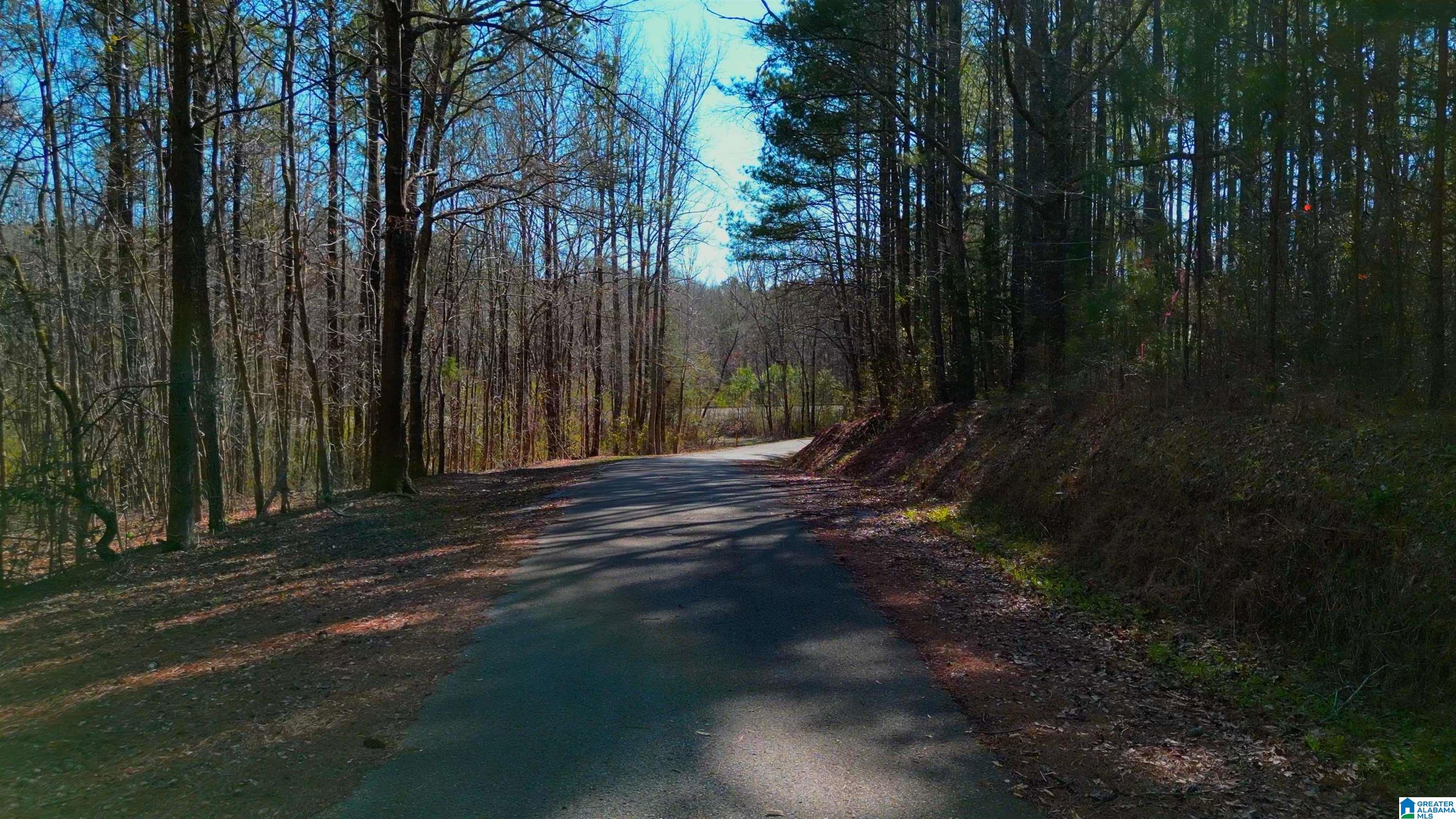 130 MOUNTAIN CREST ROAD