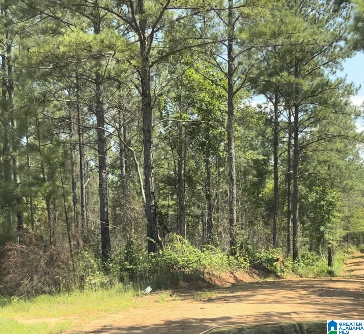 COUNTY ROAD 831