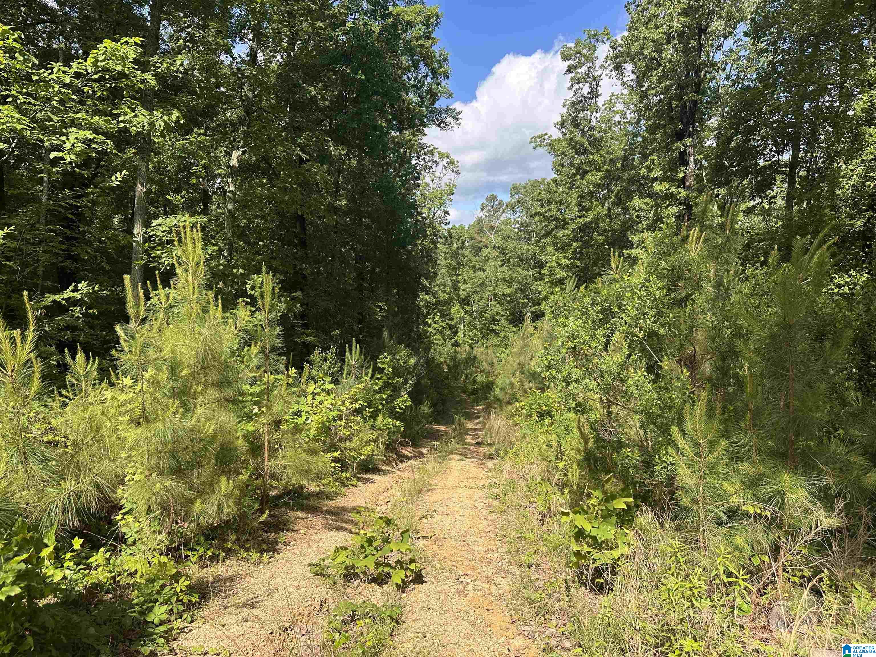 Homes for sale in Leeds, AL | 55741 Hwy 25, Leeds, AL 35094 | MLS# 21414004