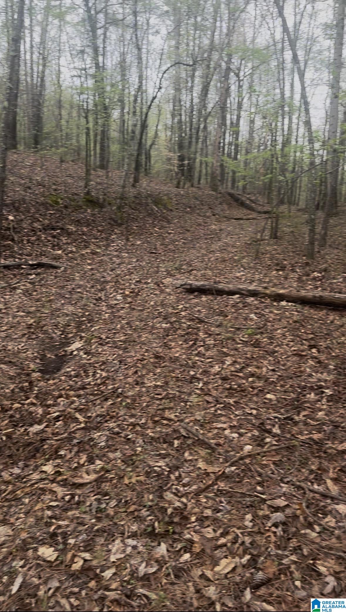 Homes for sale in Leeds, AL | 55741 Hwy 25, Leeds, AL 35094 | MLS# 21414004