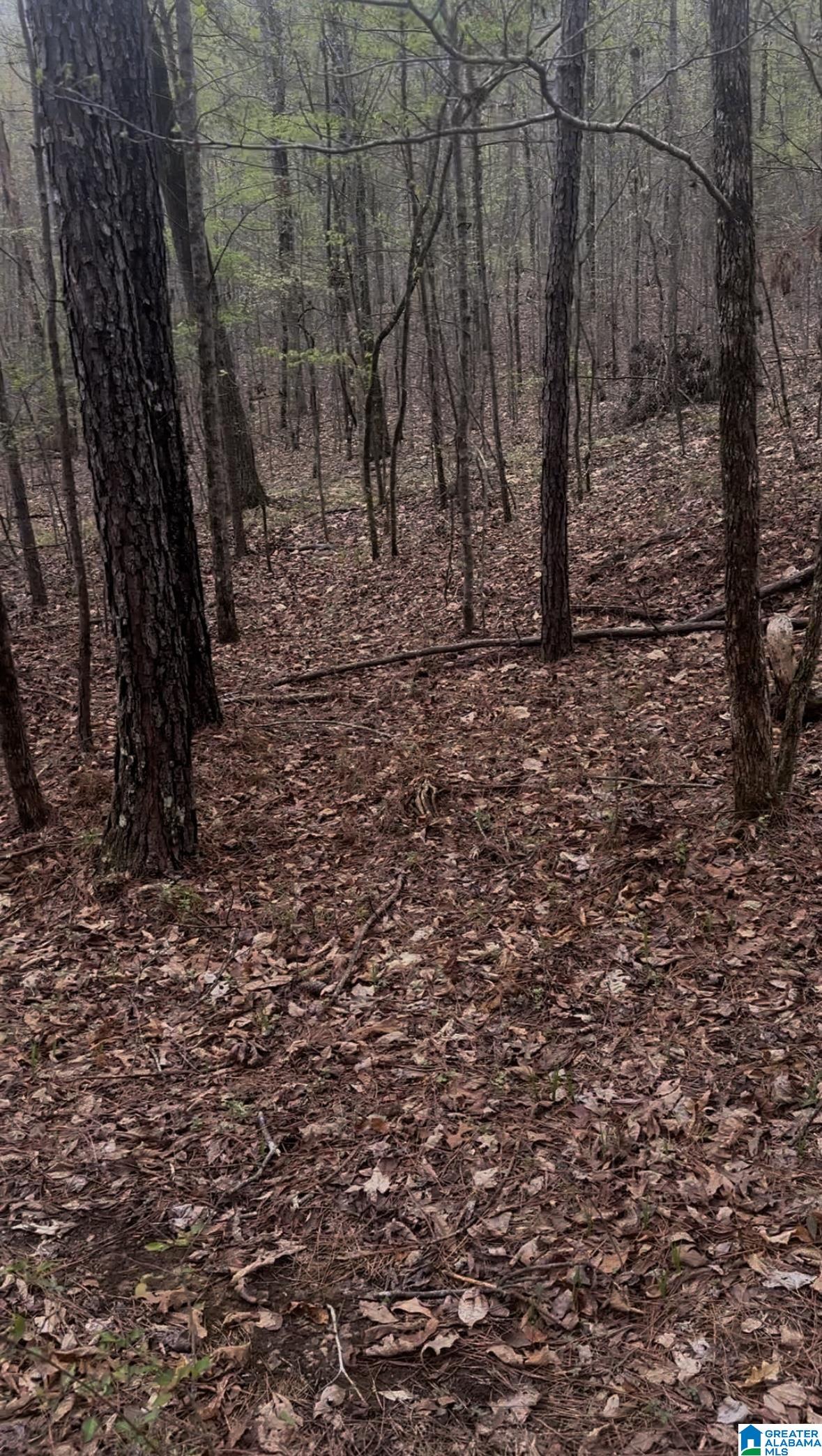 Homes for sale in Leeds, AL | 55741 Hwy 25, Leeds, AL 35094 | MLS# 21414004