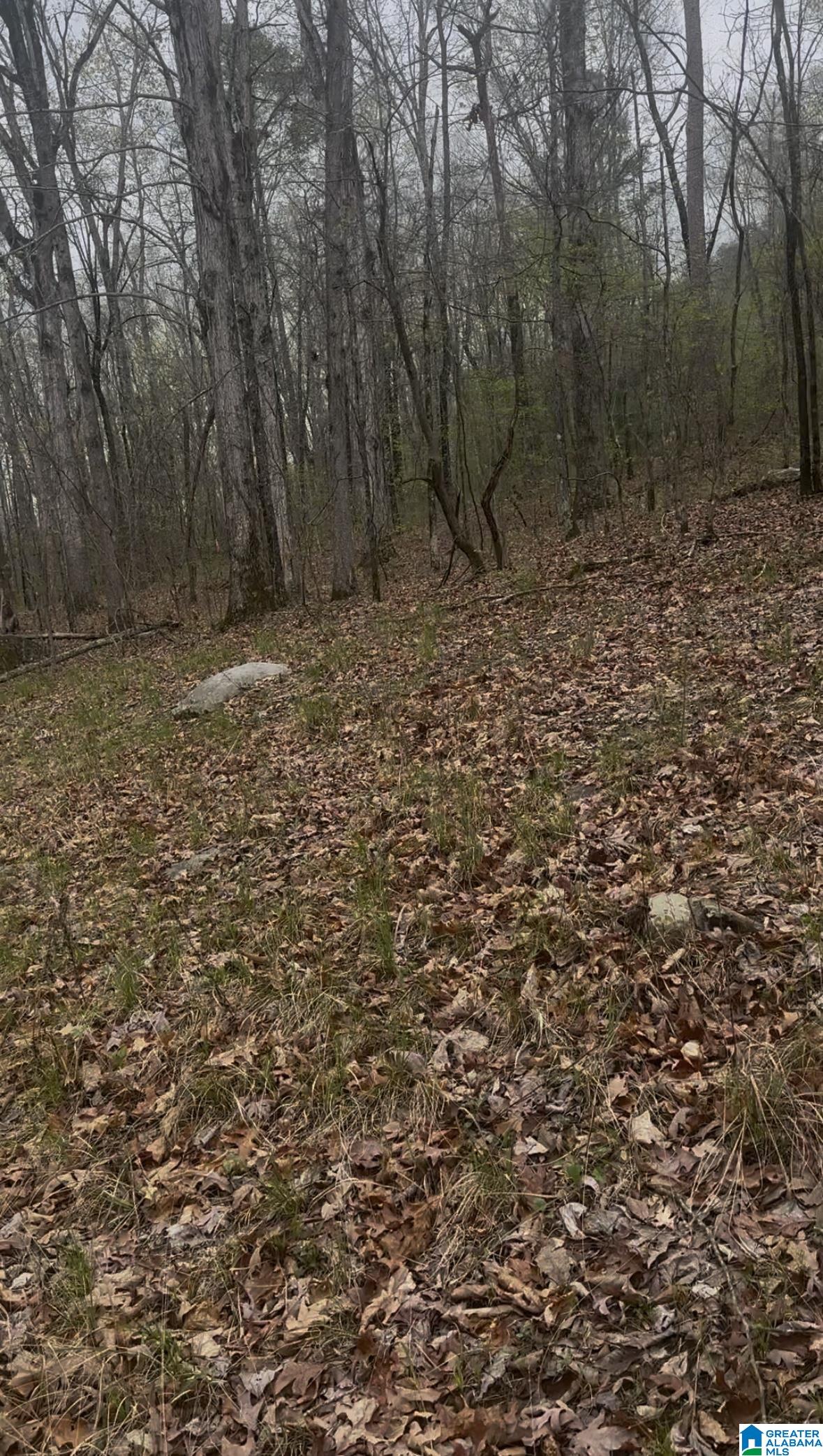 Homes for sale in Leeds, AL | 55741 Hwy 25, Leeds, AL 35094 | MLS# 21414004