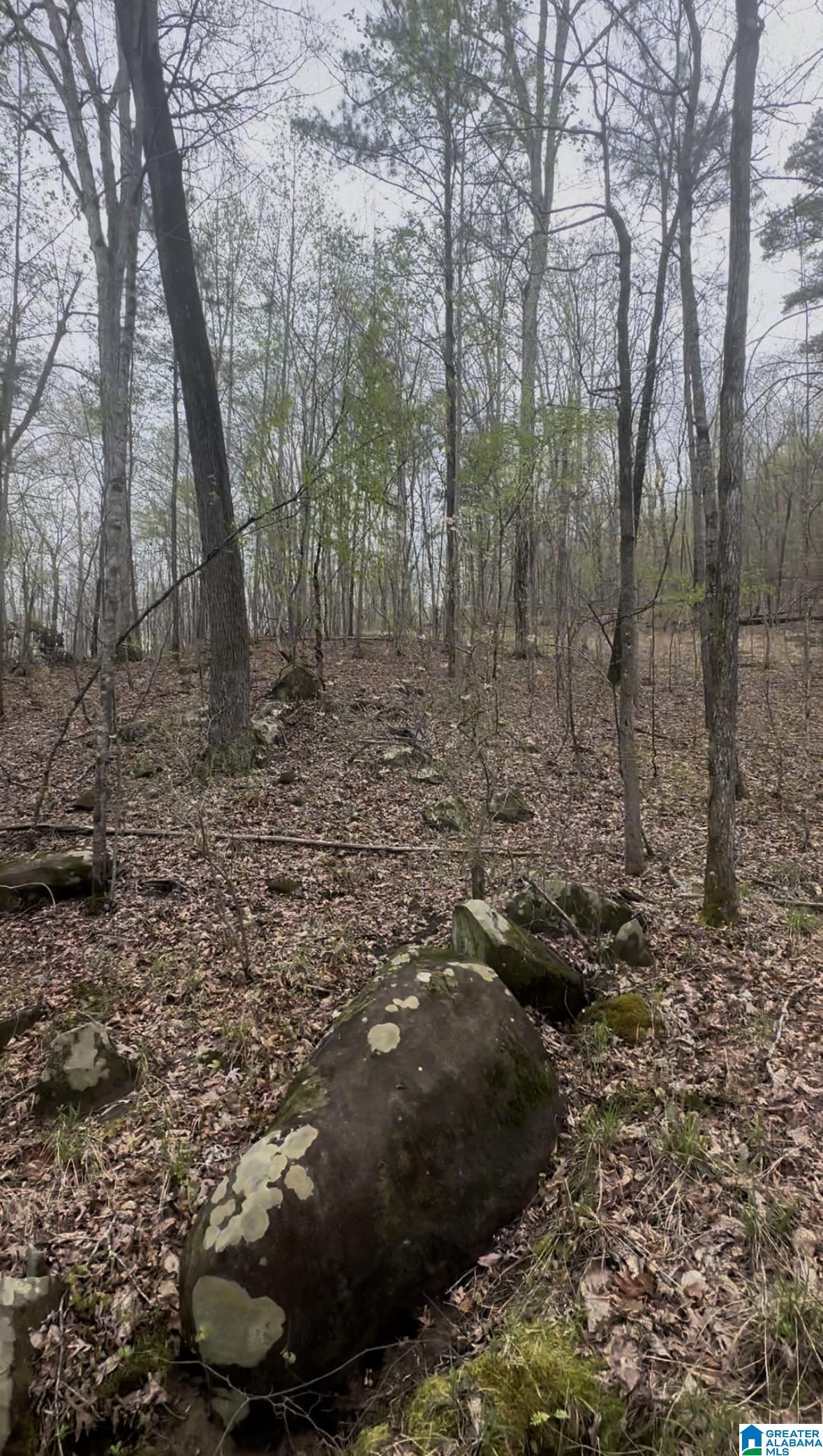 Homes for sale in Leeds, AL | 55741 Hwy 25, Leeds, AL 35094 | MLS# 21414004