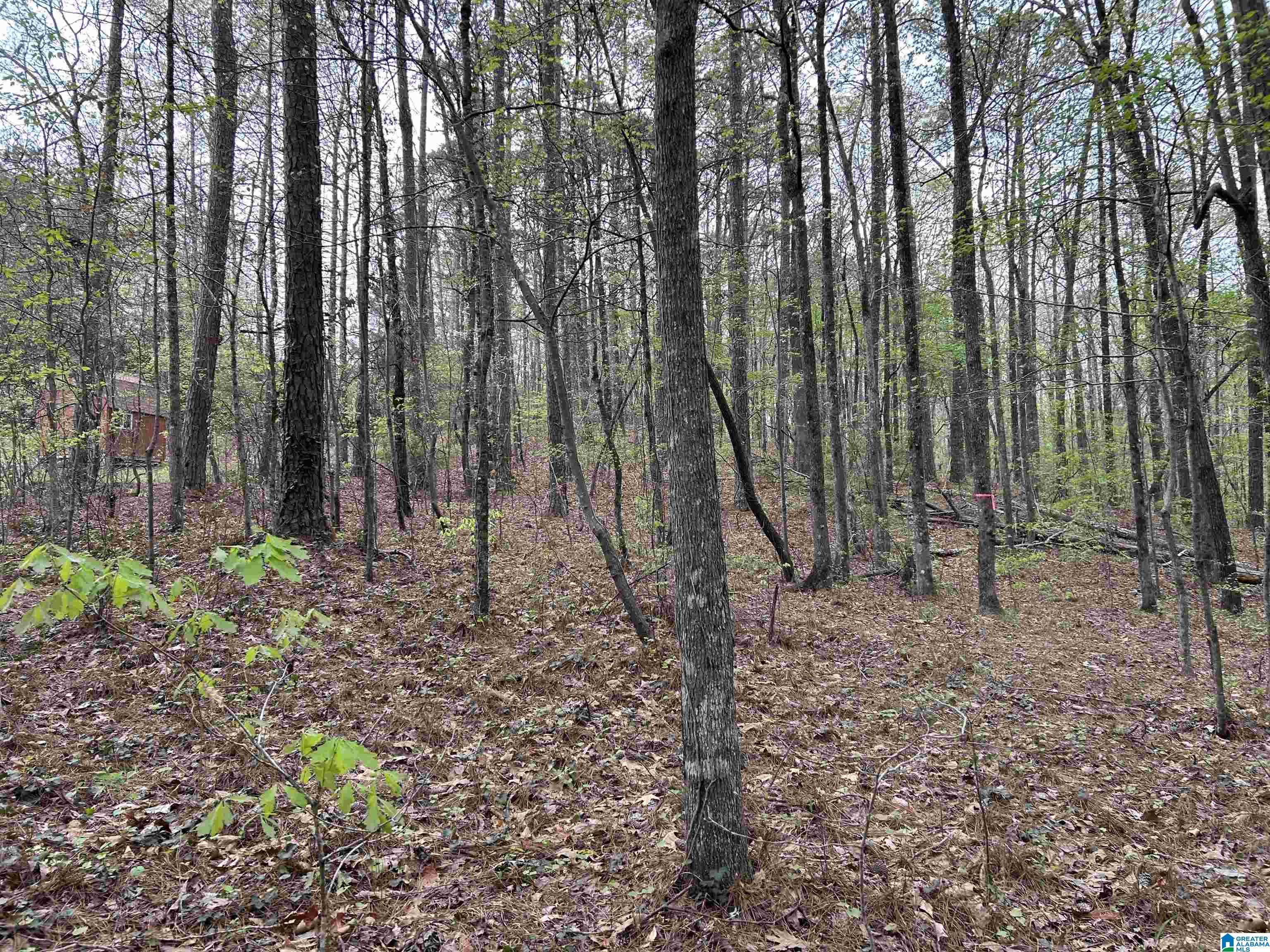 Lot 12 CIRCLE DRIVE
