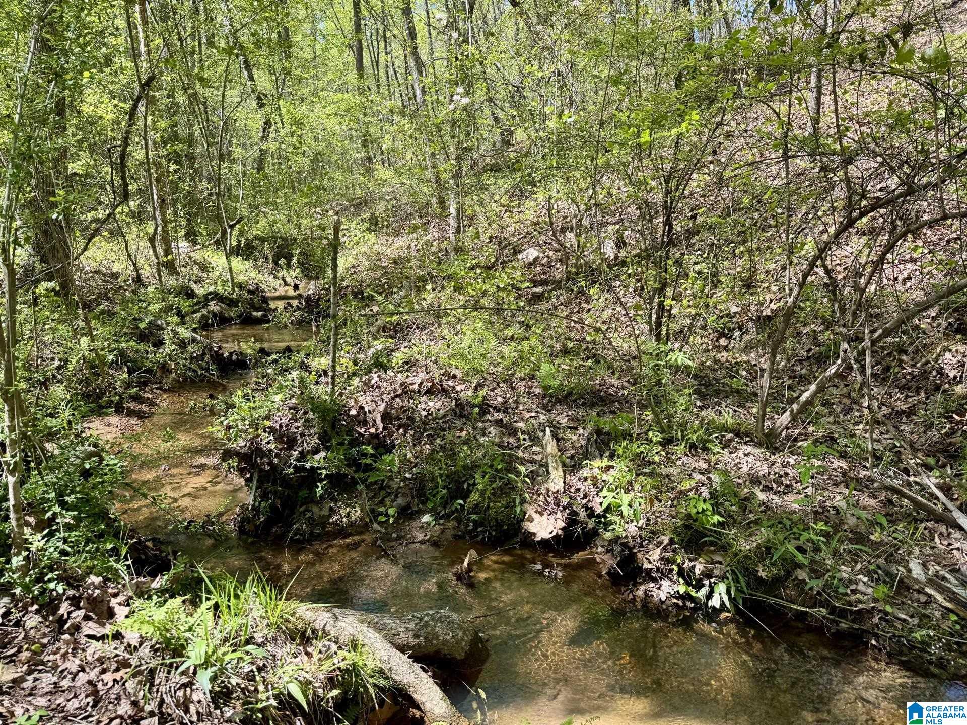 Tract 7 COUNTY ROAD 268
