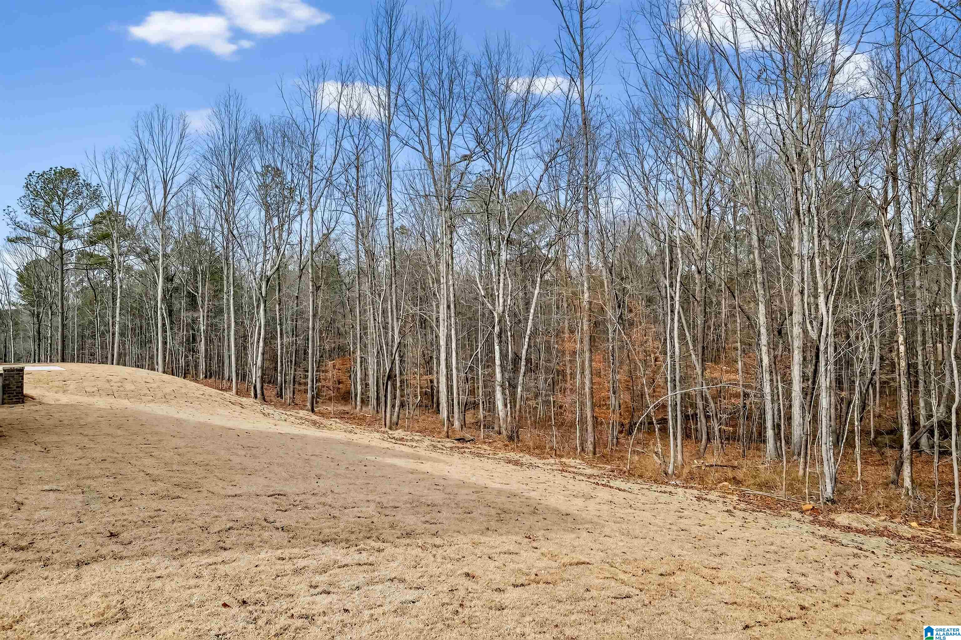 Homes for sale in Pelham, AL | 1118 Grey Oaks Valley, Pelham, AL 35124 | MLS# 21416416