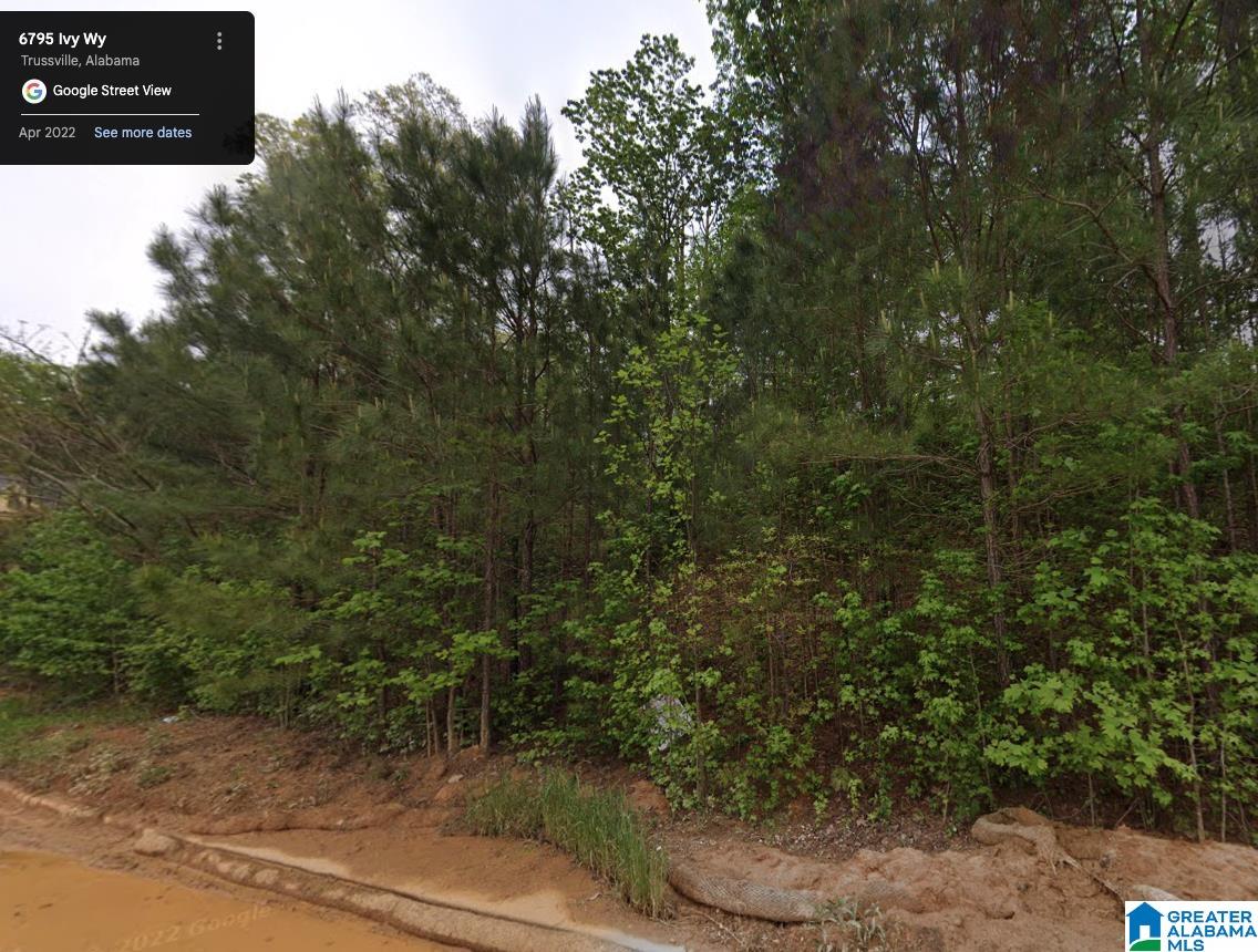 6795 IVY WAY