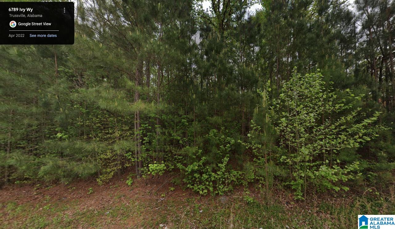 6789 IVY WAY