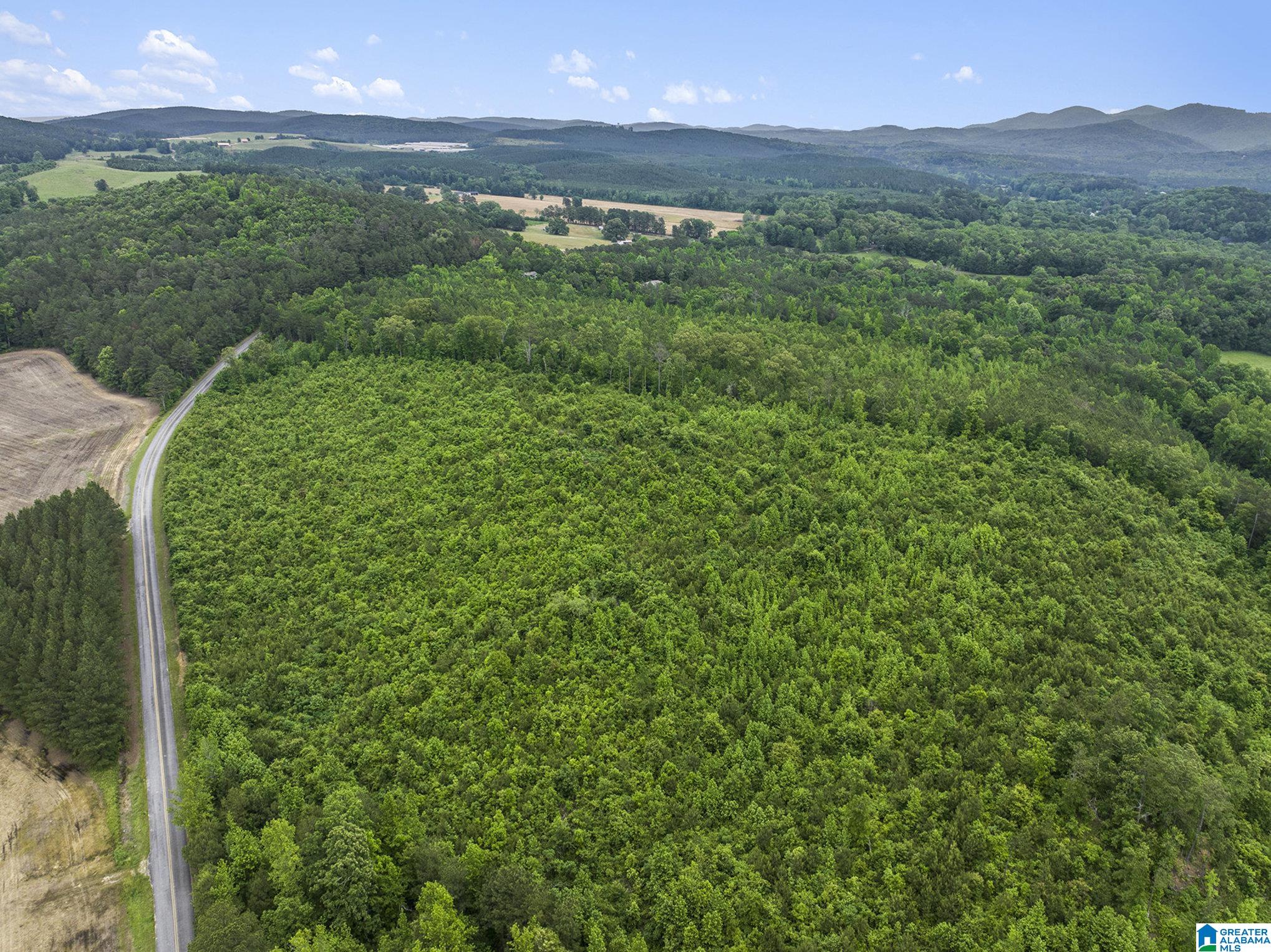0 COUNTY ROAD 12