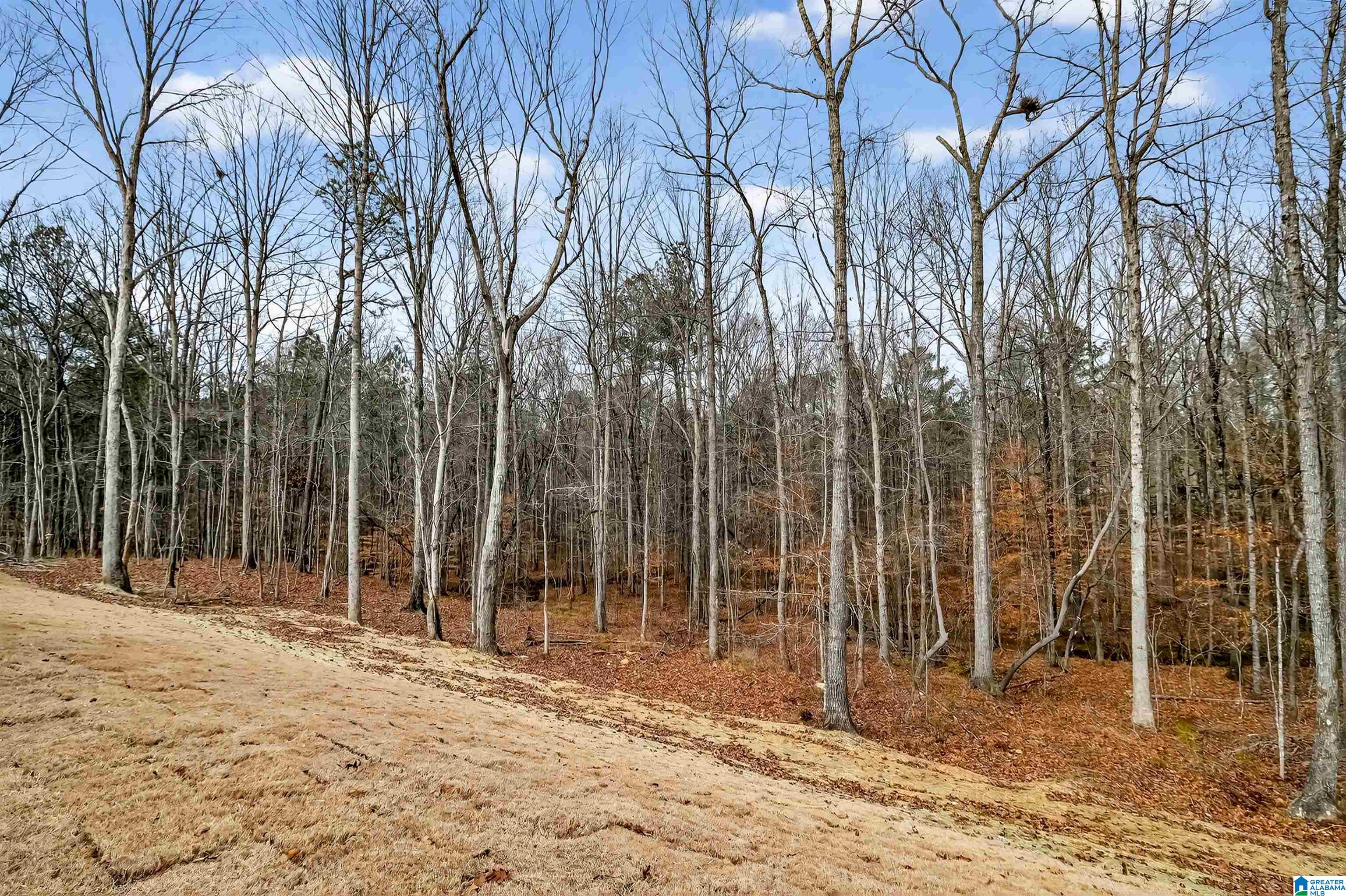 Homes for sale in Pelham, AL | 1122 Grey Oaks Valley, Pelham, AL 35124 | MLS# 21419250