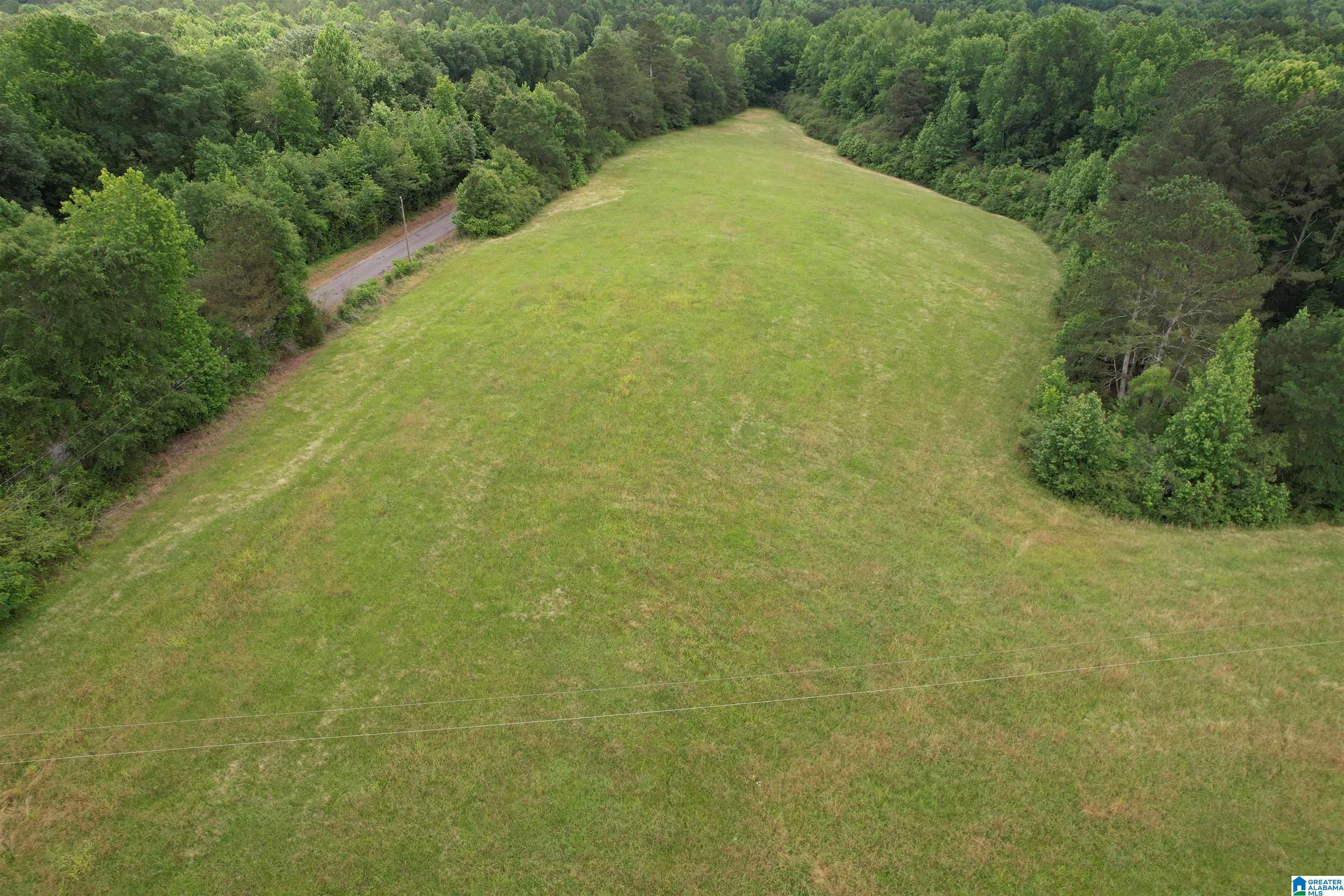 Homes for sale in Bremen, AL | 21 County Road 97, Bremen, AL 35033 | MLS# 21420487