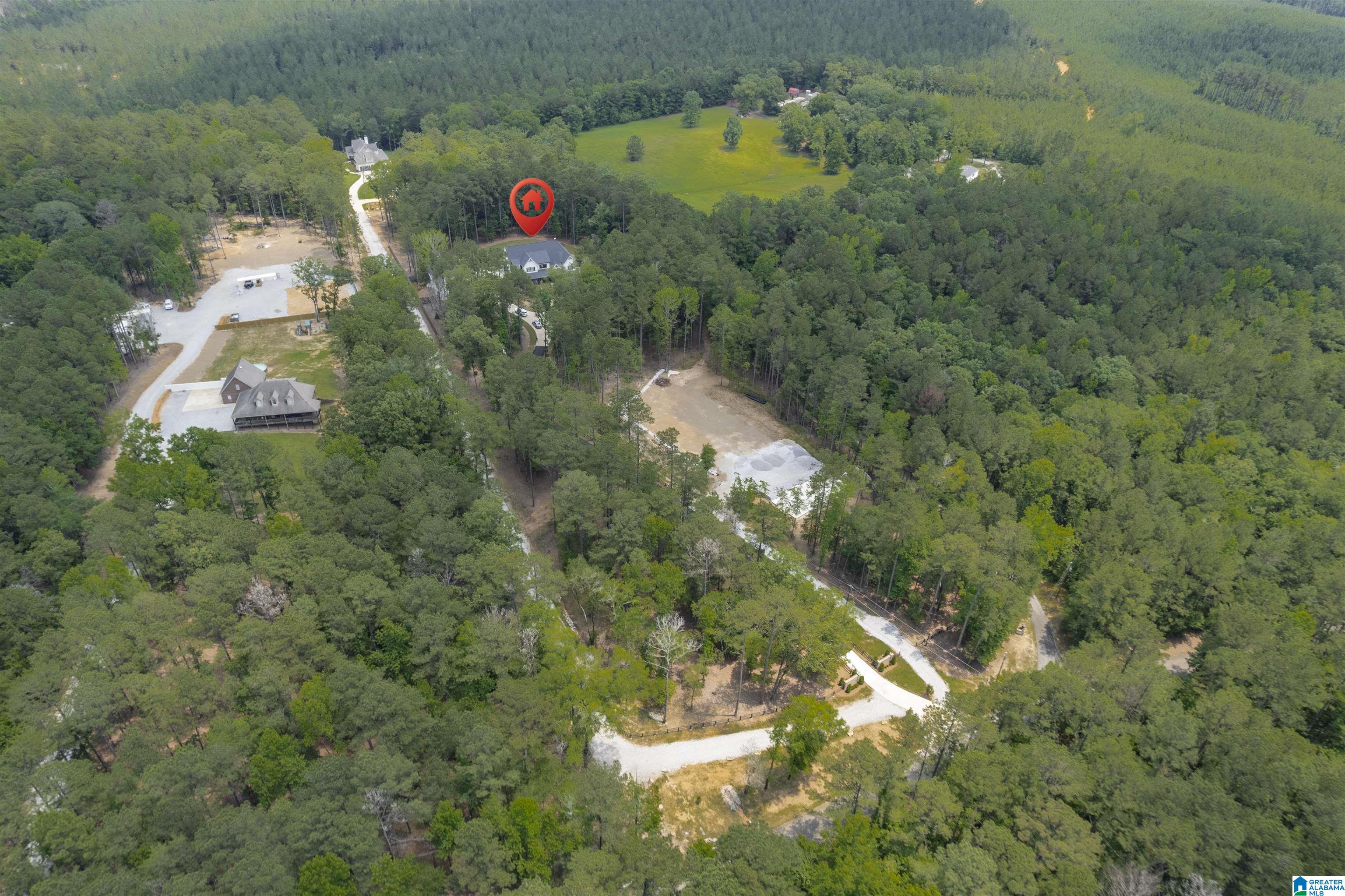 Homes for sale in Chelsea, AL | 3110 Hwy 51, Chelsea, AL 35186 | MLS# 21421024