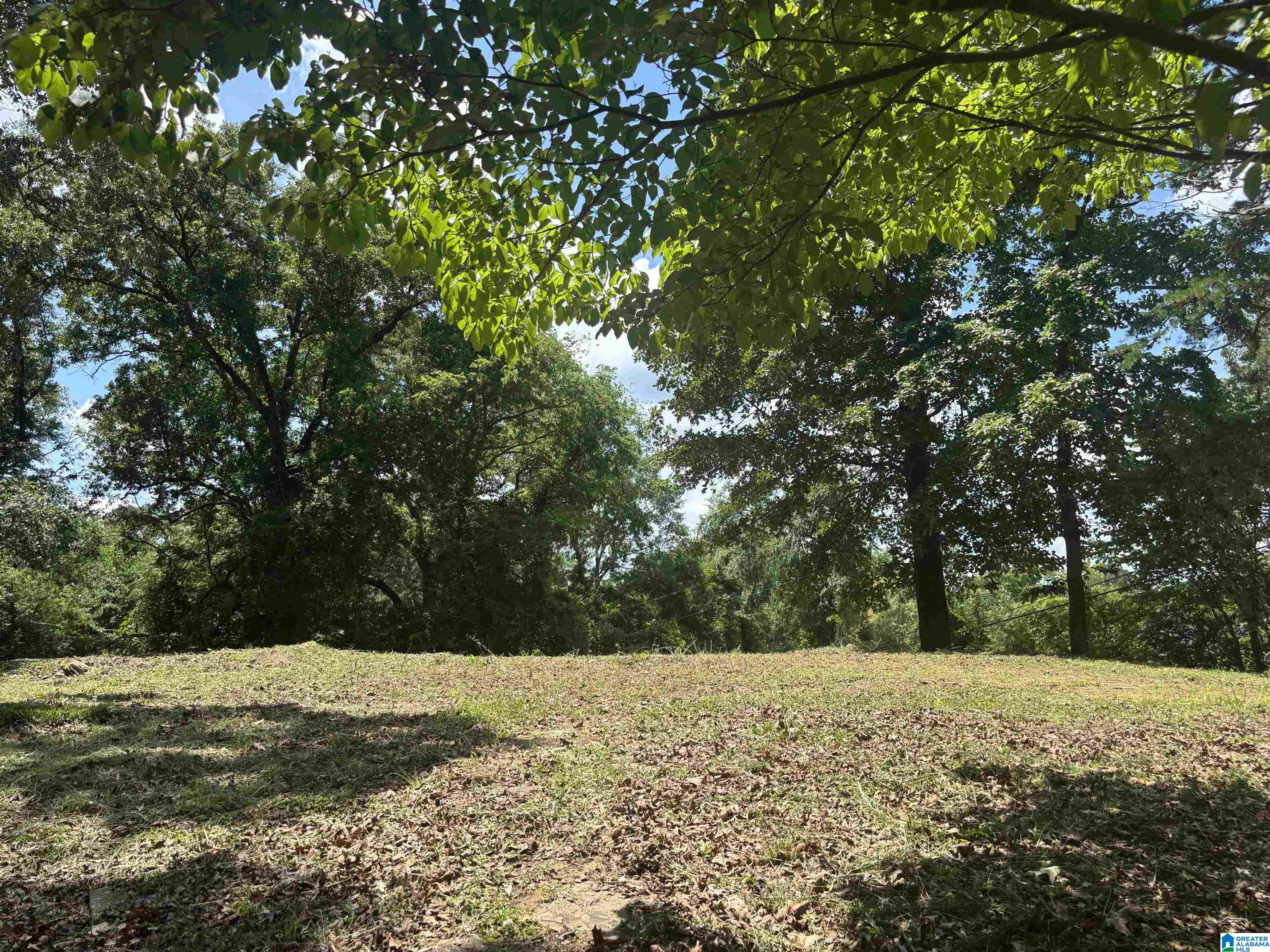 224 IRIS DRIVE