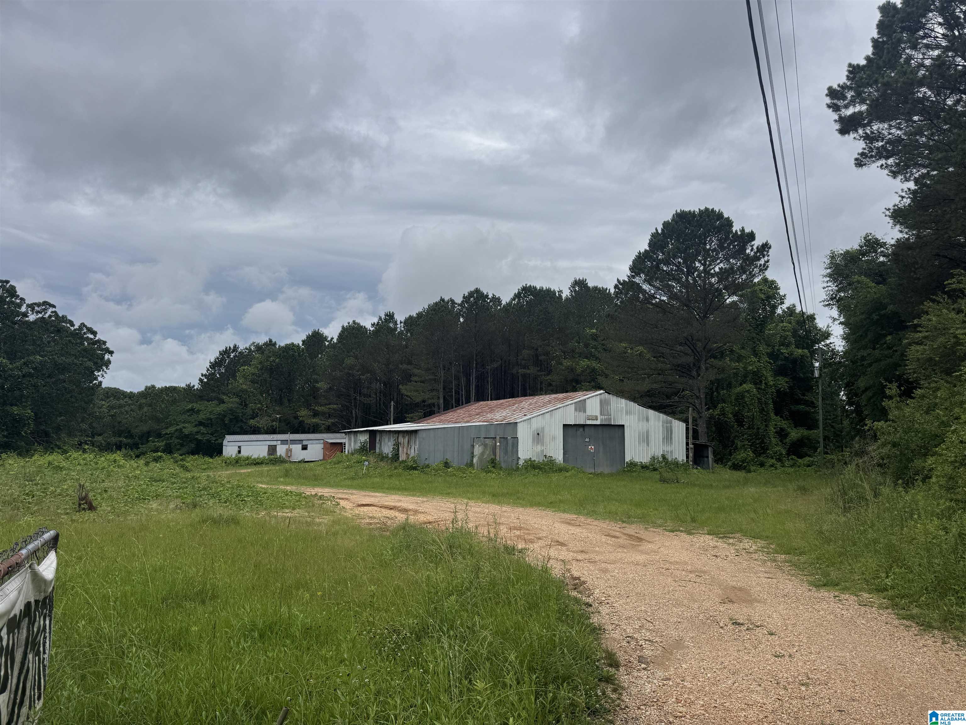 1293 COUNTY ROAD 196