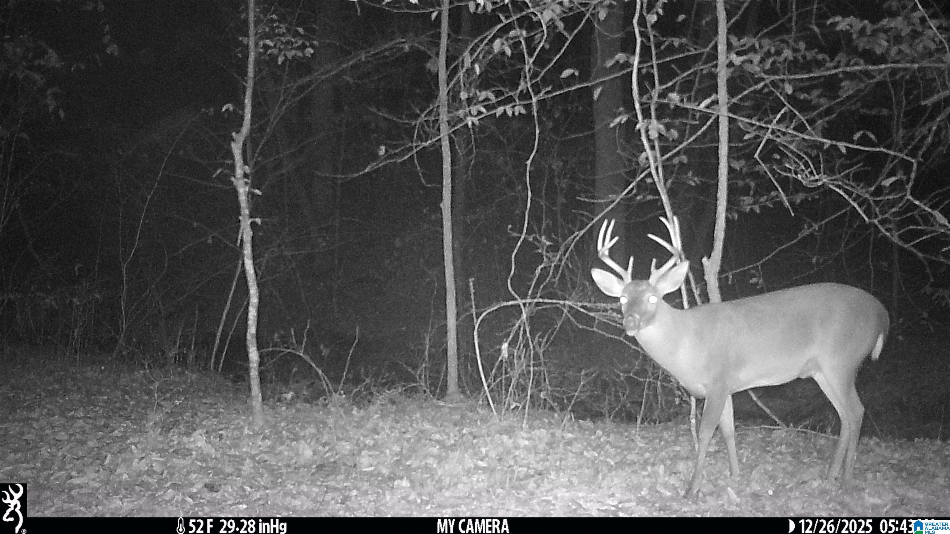 Homes for sale in Trussville, AL | 3107 Smith Sims Road, Trussville, AL 35173 | MLS# 21421499