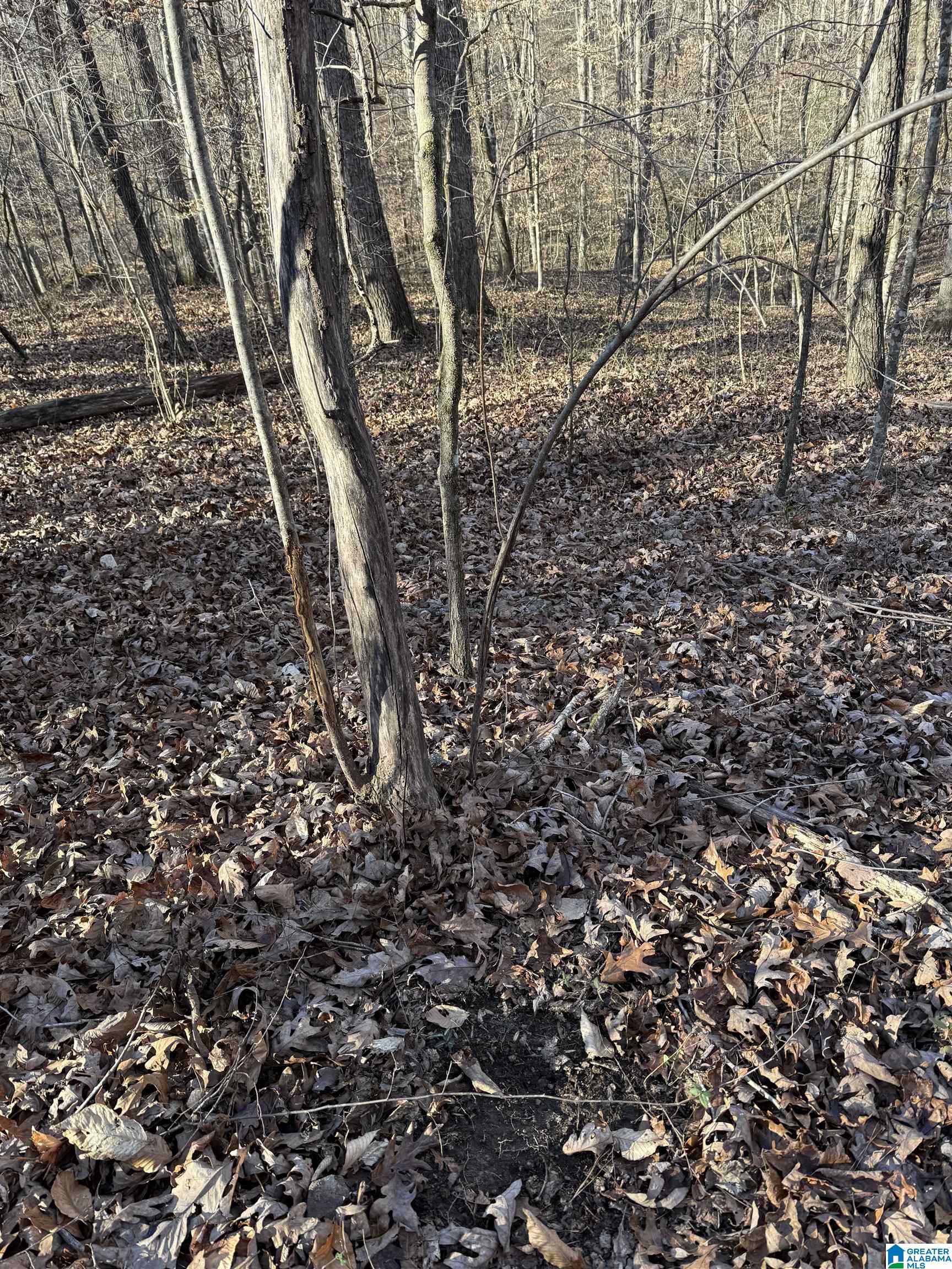 Homes for sale in Trussville, AL | 3107 Smith Sims Road, Trussville, AL 35173 | MLS# 21421499