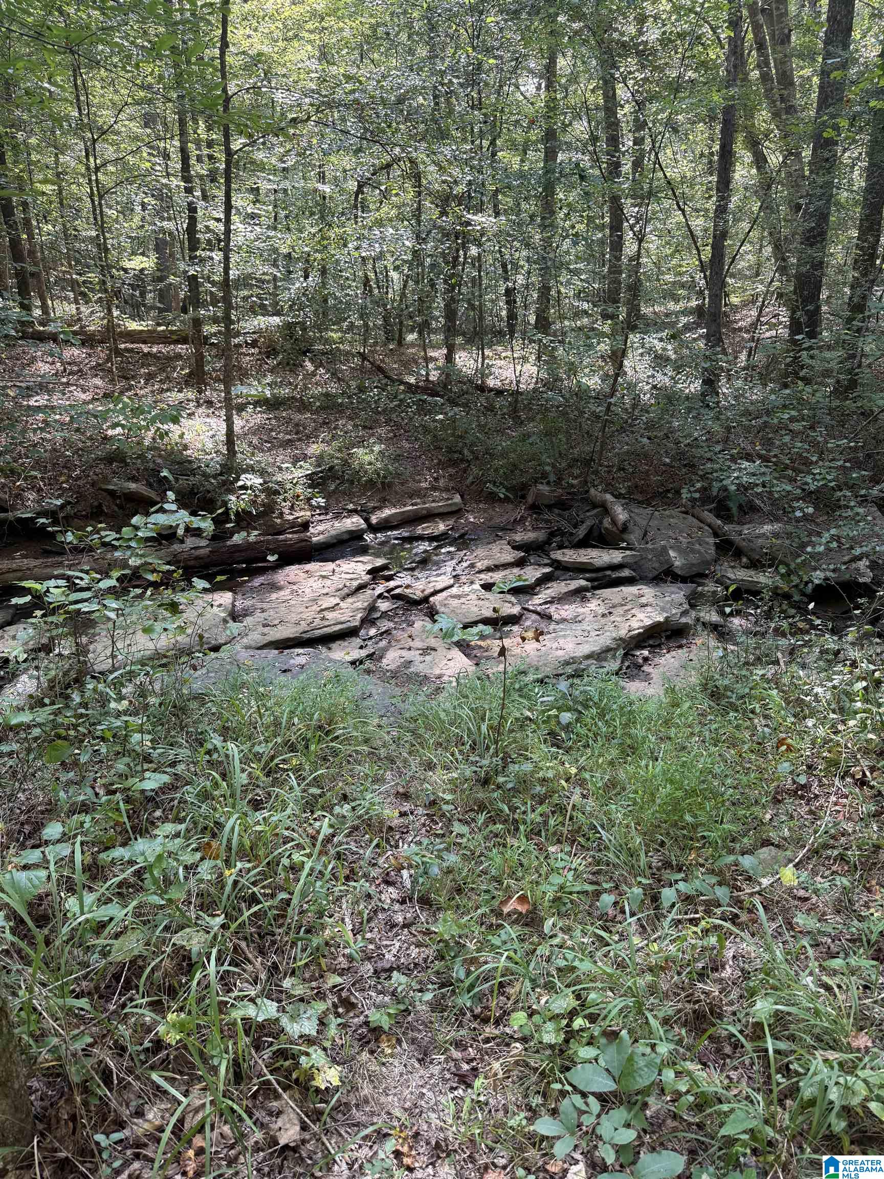 Homes for sale in Trussville, AL | 3107 Smith Sims Road, Trussville, AL 35173 | MLS# 21421499