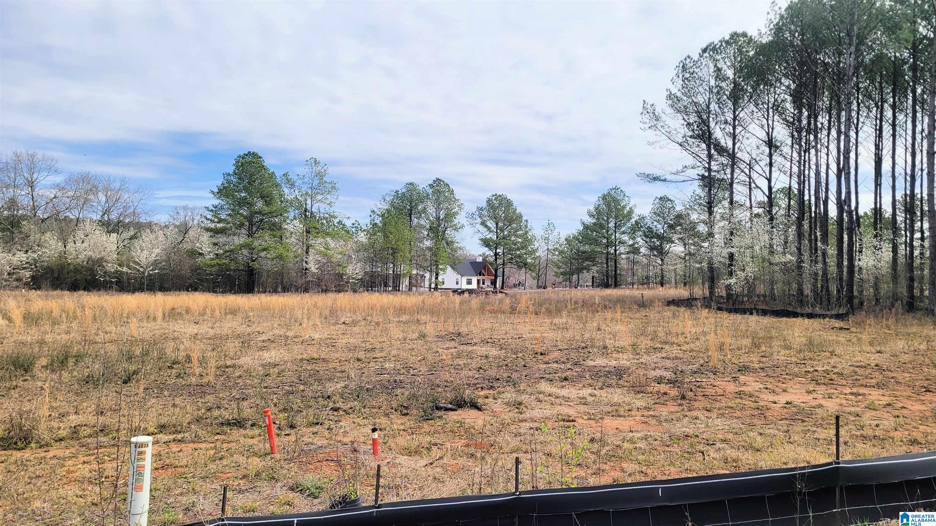 Homes for sale in Harpersville, AL | 1023 Chancellors Ferry Loop, Harpersville, AL 35078 | MLS# 21421681