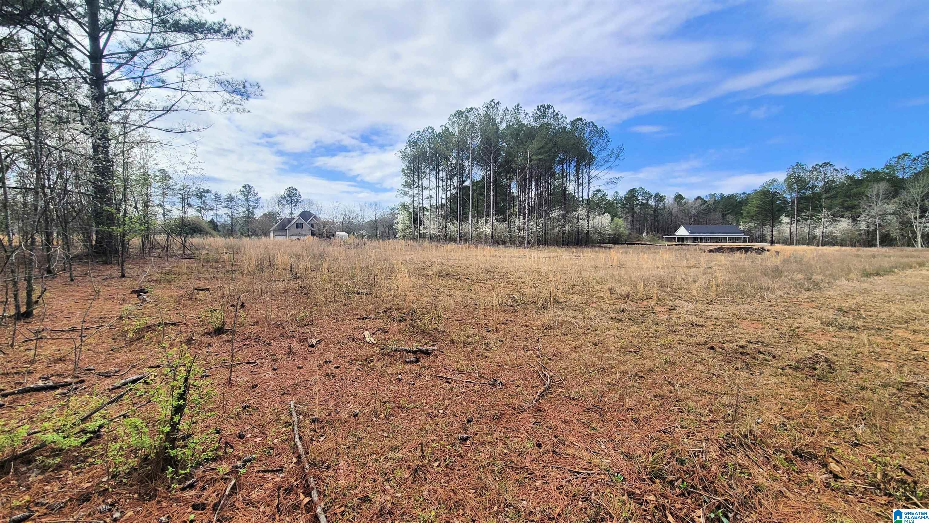 Homes for sale in Harpersville, AL | 1077 Chancellors Ferry Loop, Harpersville, AL 35078 | MLS# 21421684
