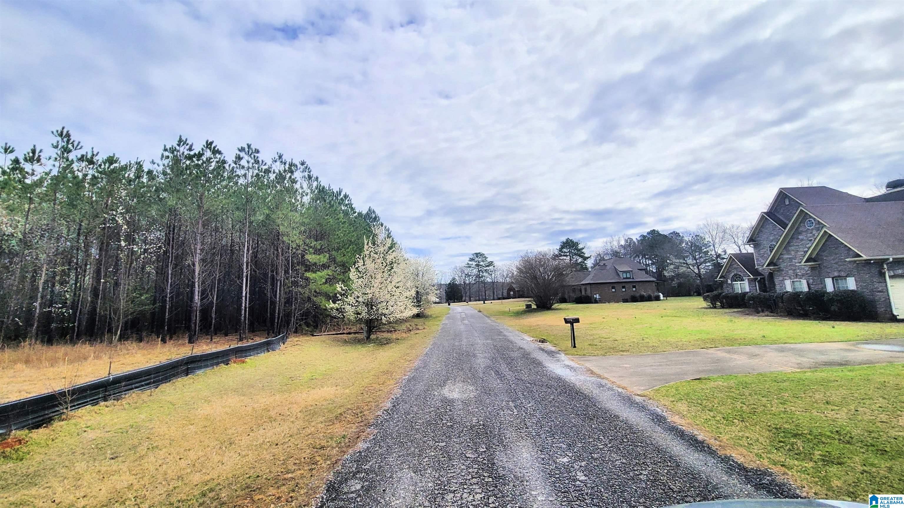 Homes for sale in Harpersville, AL | 1077 Chancellors Ferry Loop, Harpersville, AL 35078 | MLS# 21421684