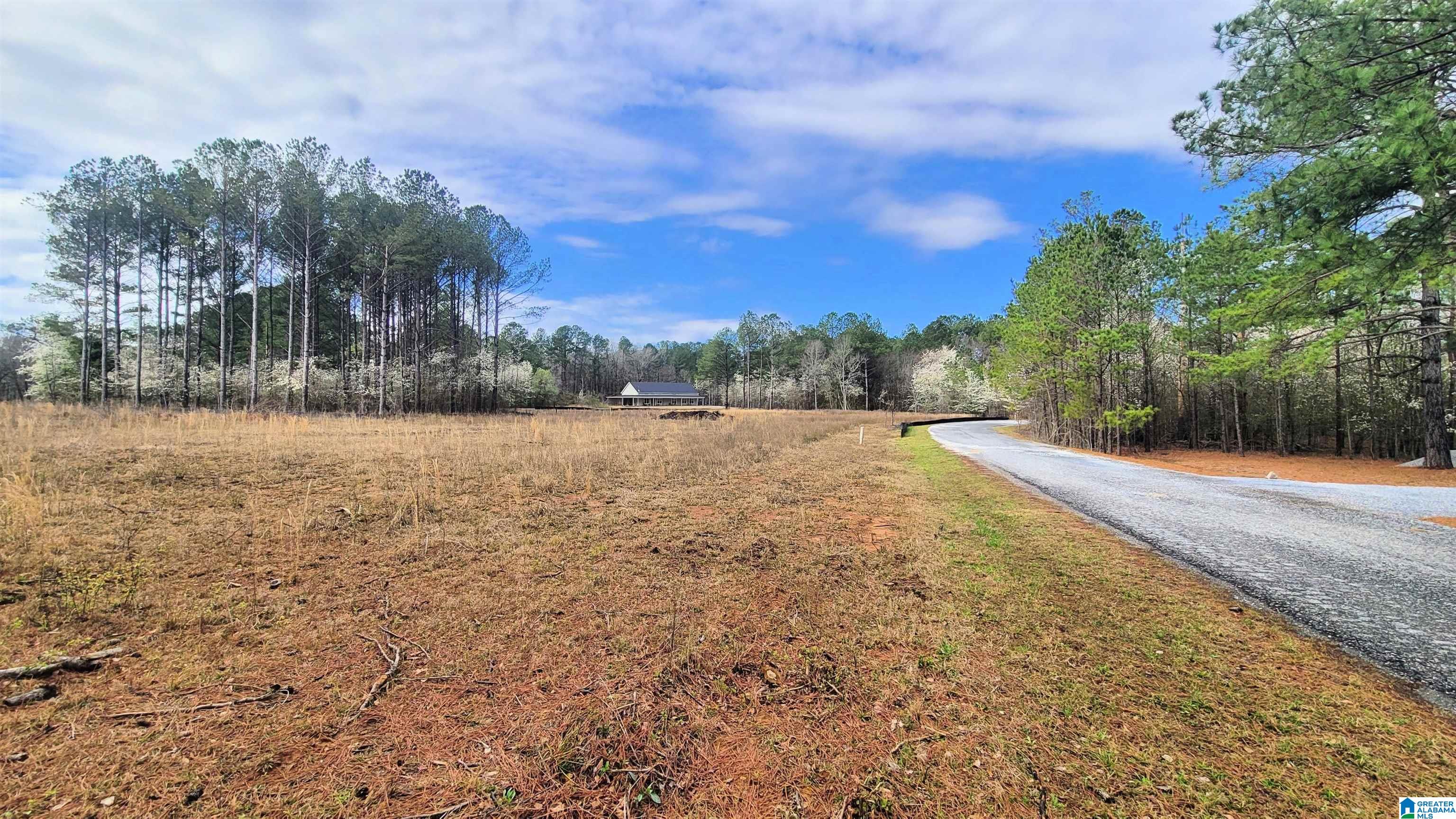 Homes for sale in Harpersville, AL | 1081 Chancellors Ferry Loop, Harpersville, AL 35078 | MLS# 21421685
