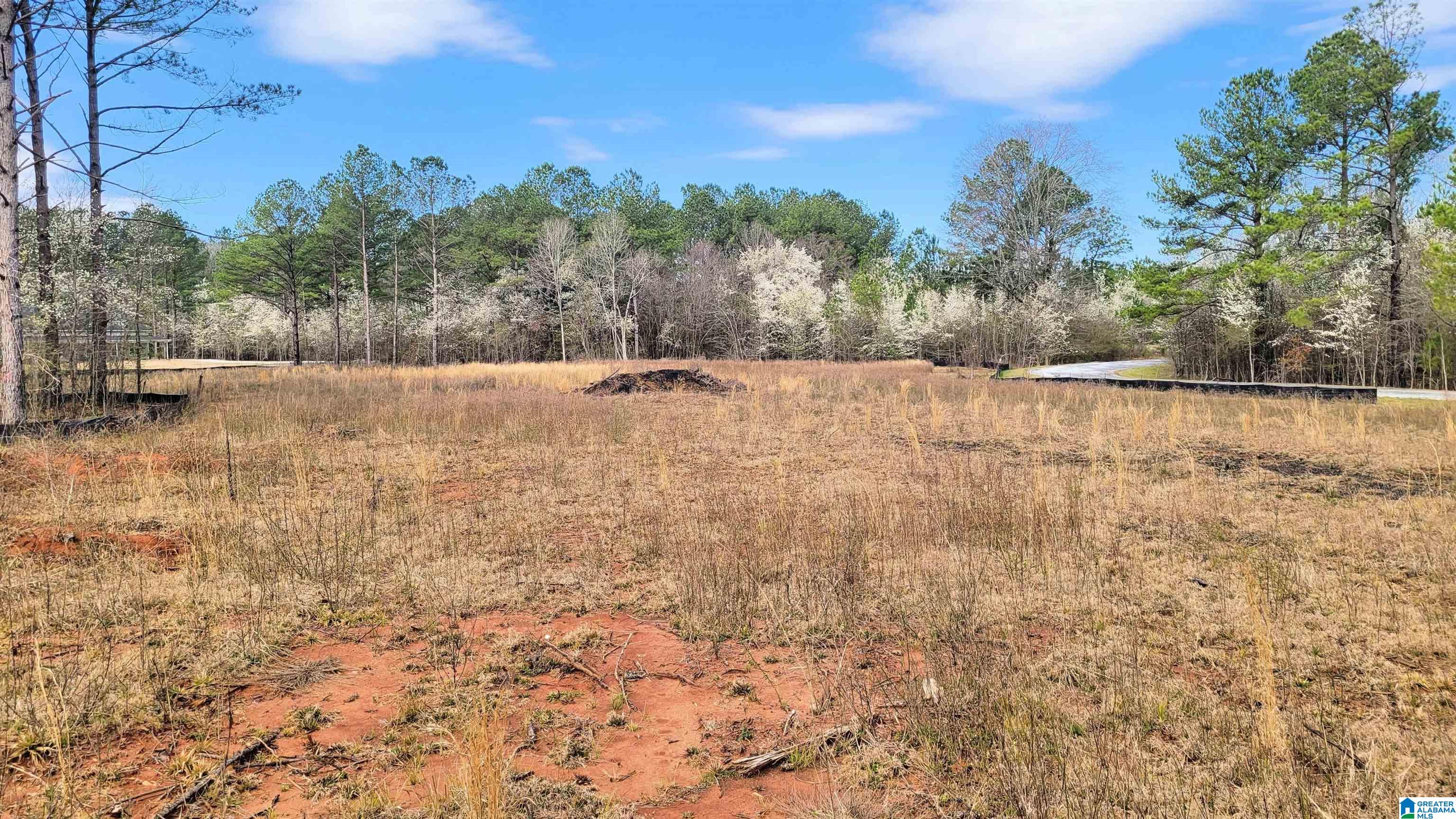 Homes for sale in Harpersville, AL | 1085 Chancellors Ferry Loop, Harpersville, AL 35078 | MLS# 21421687