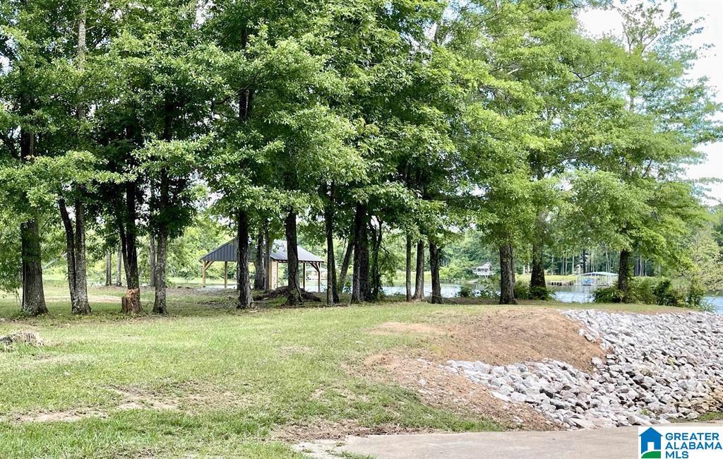 Homes for sale in Harpersville, AL | 1085 Chancellors Ferry Loop, Harpersville, AL 35078 | MLS# 21421687