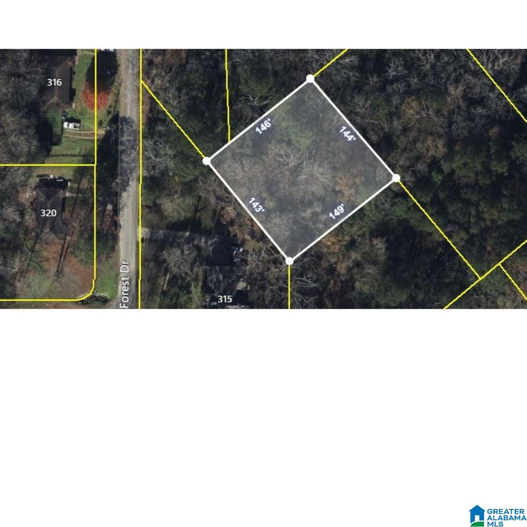 309 FOREST DRIVE