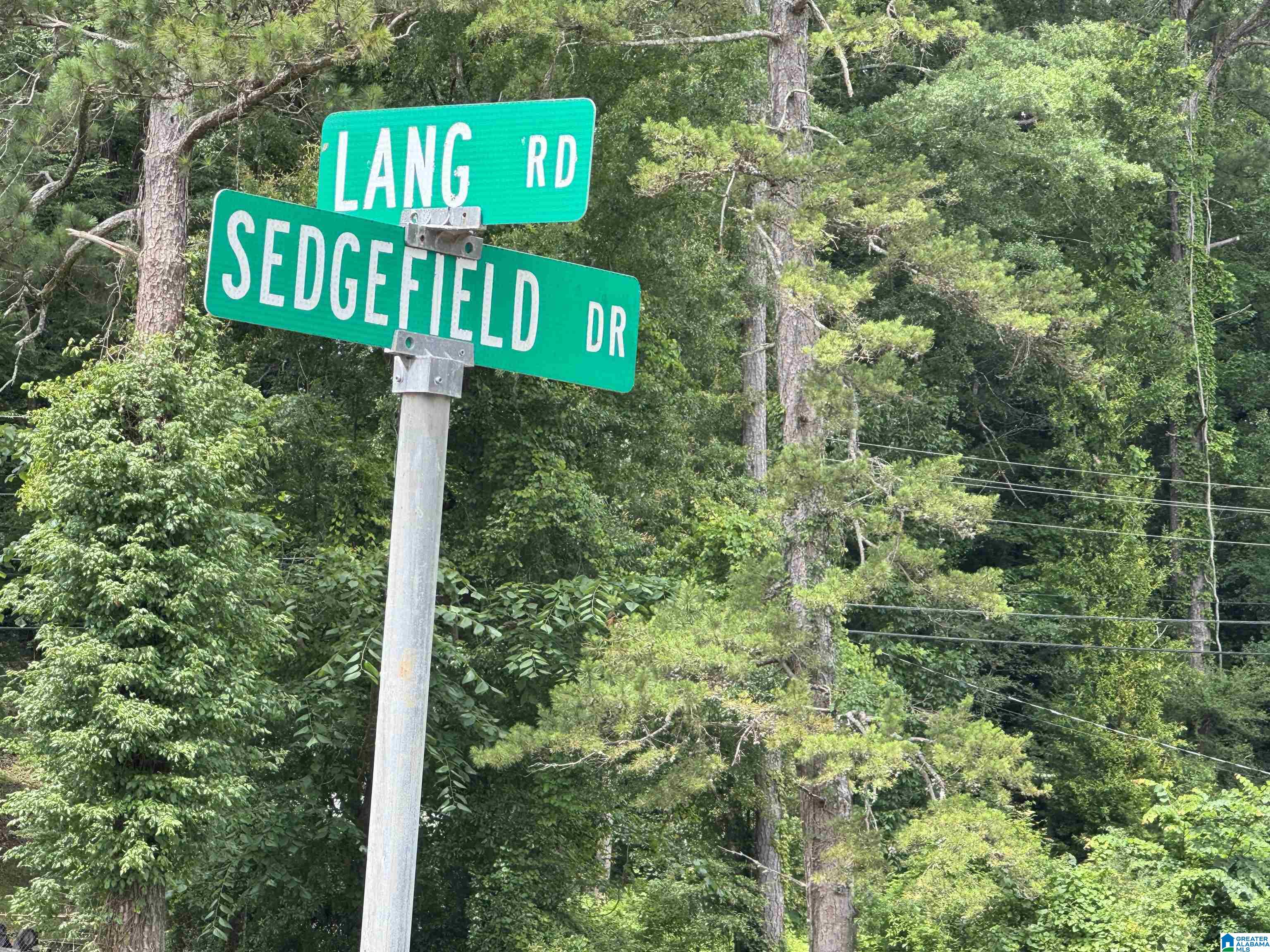 1005 SEDGEFIELD DRIVE
