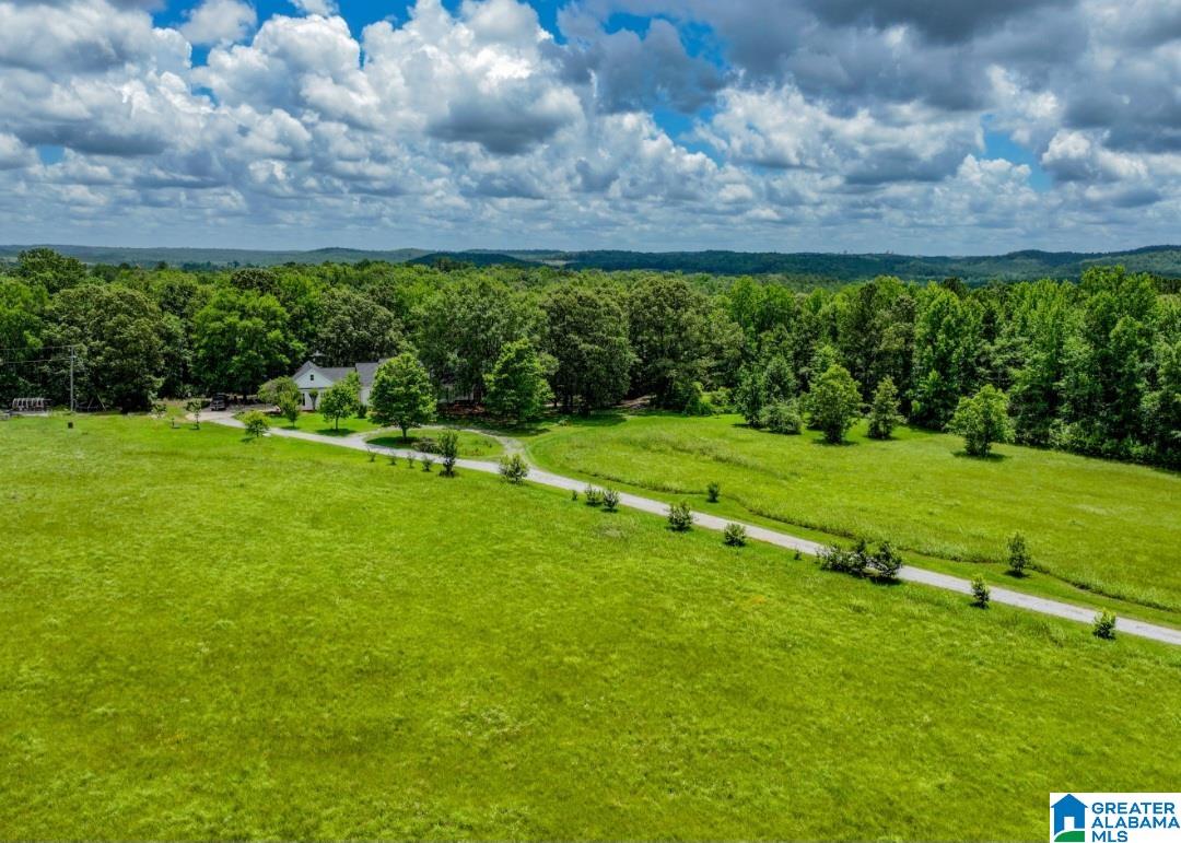 Homes for sale in Moundville, AL | 2821 County Road 50, Moundville, AL 35474 | MLS# 21422658