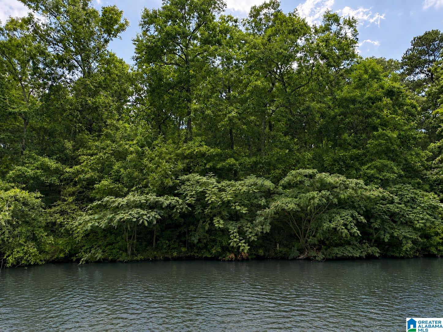 Lot 10 COUNTY ROAD 2565