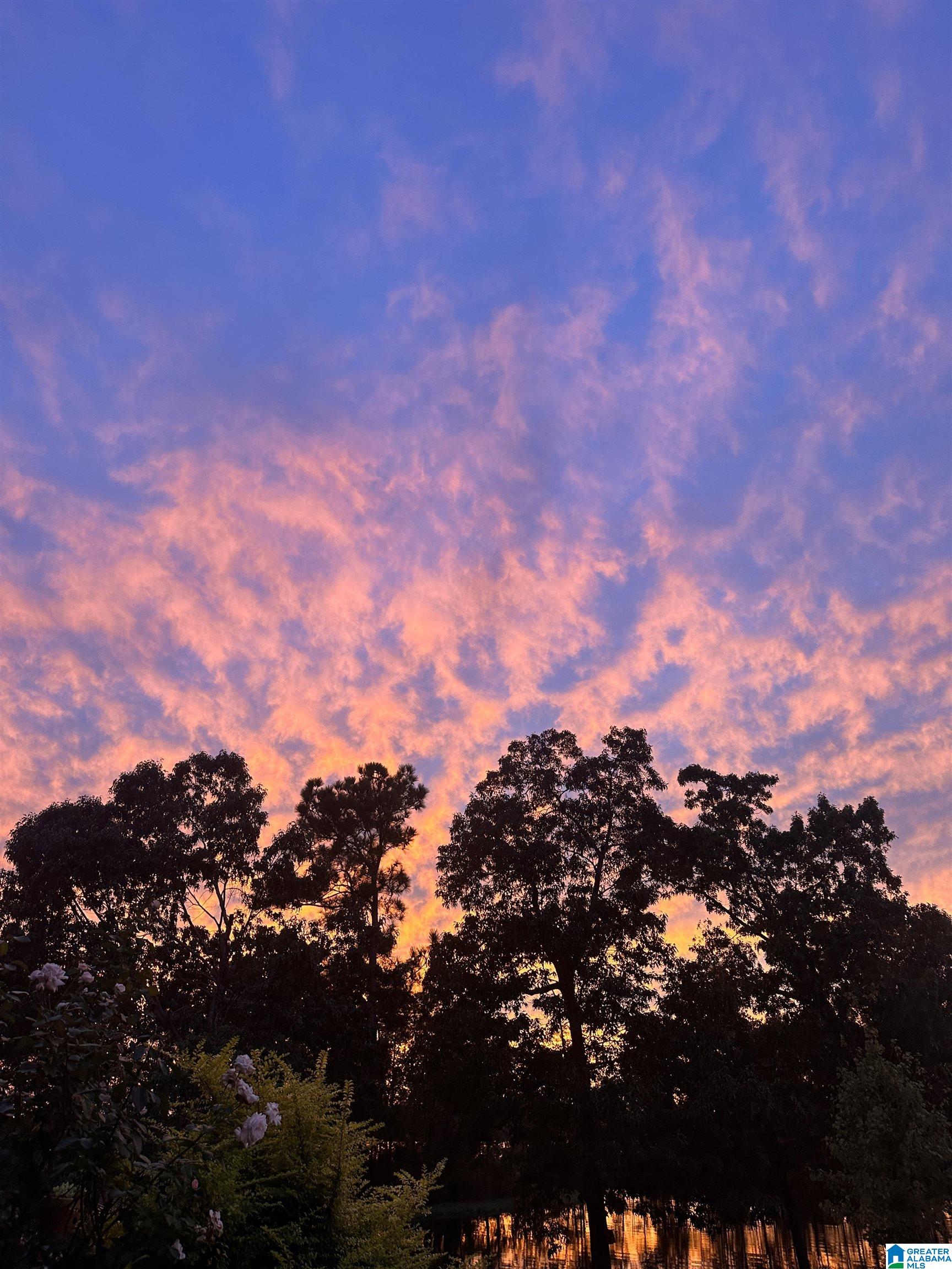 Homes for sale in Clanton, AL | 168 Layke Pointe, Clanton, AL 35046 | MLS# 21423831