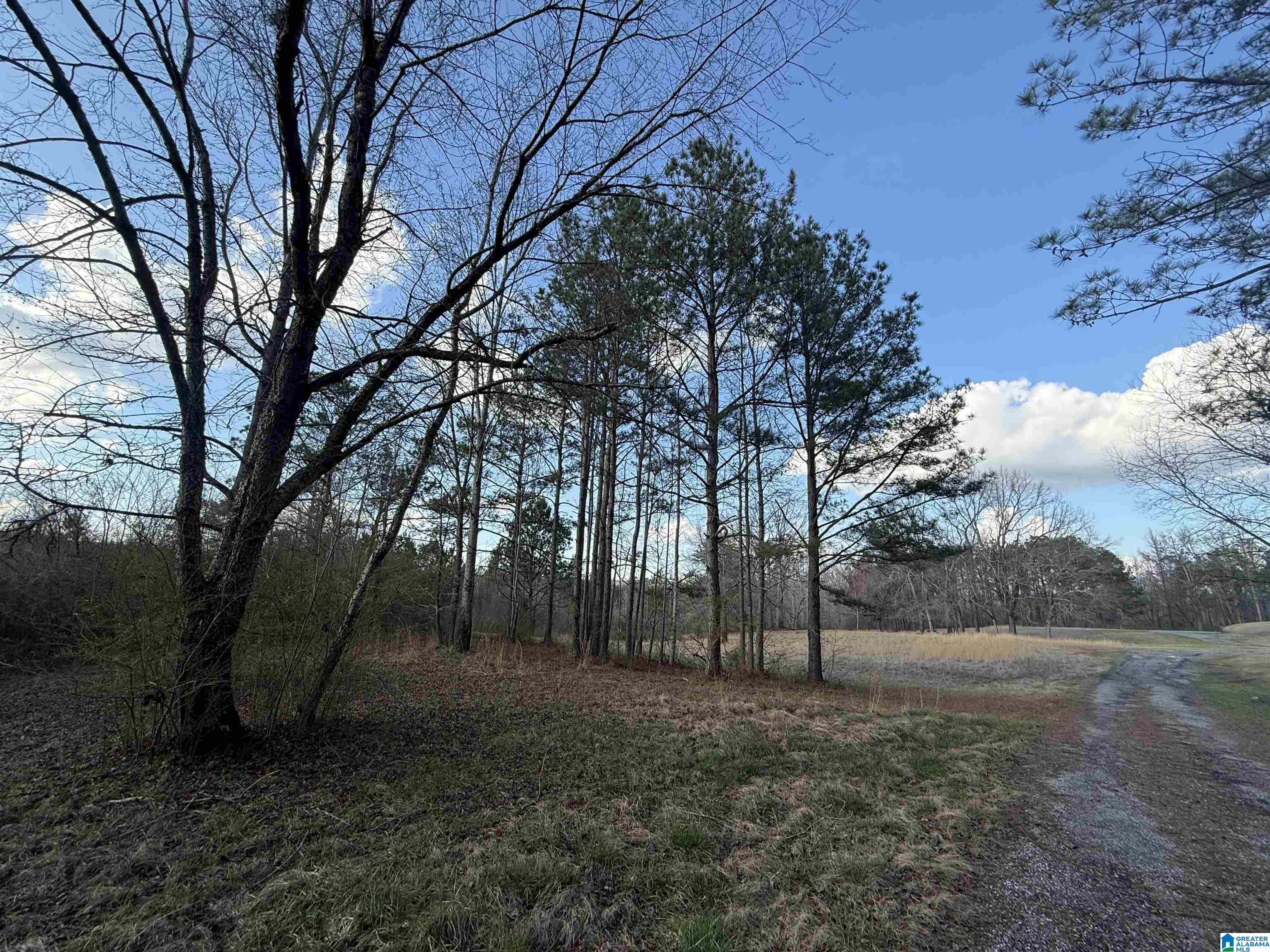 Homes for sale in Clanton, AL | 0 County Road 448, Clanton, AL 35046 | MLS# 21425190