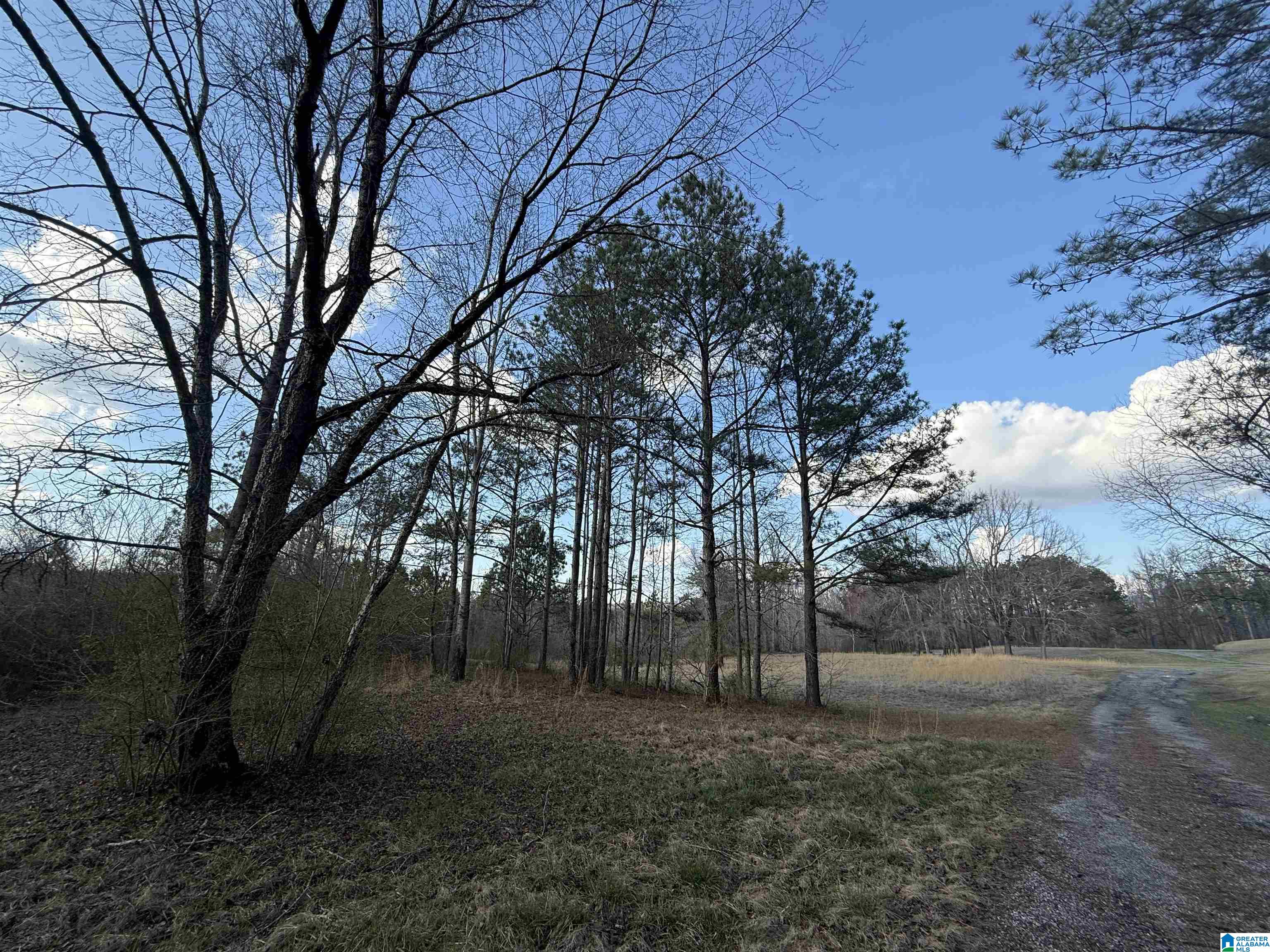 Homes for sale in Clanton, AL | 0 County Road 448, Clanton, AL 35046 | MLS# 21425190