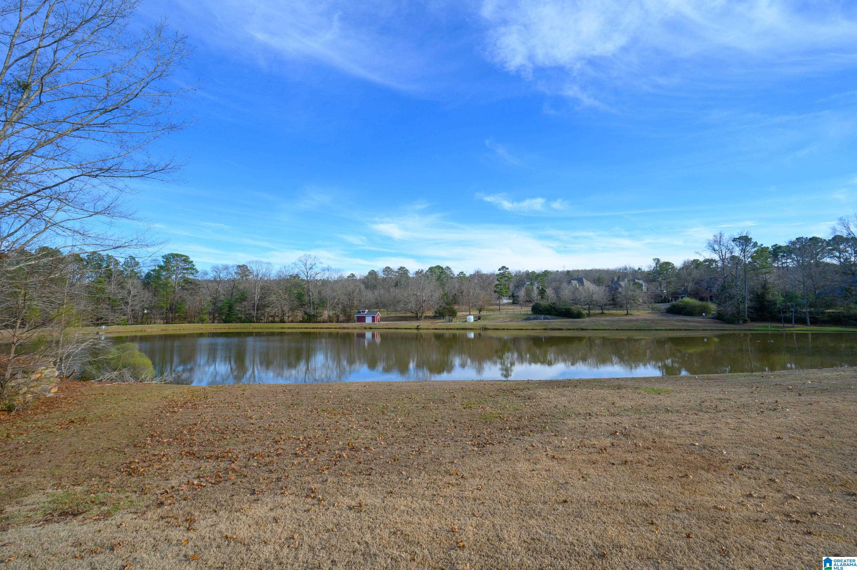 Homes for sale in Hoover, AL | 987 Garland Cove, Hoover, AL 35242 | MLS# 21426643