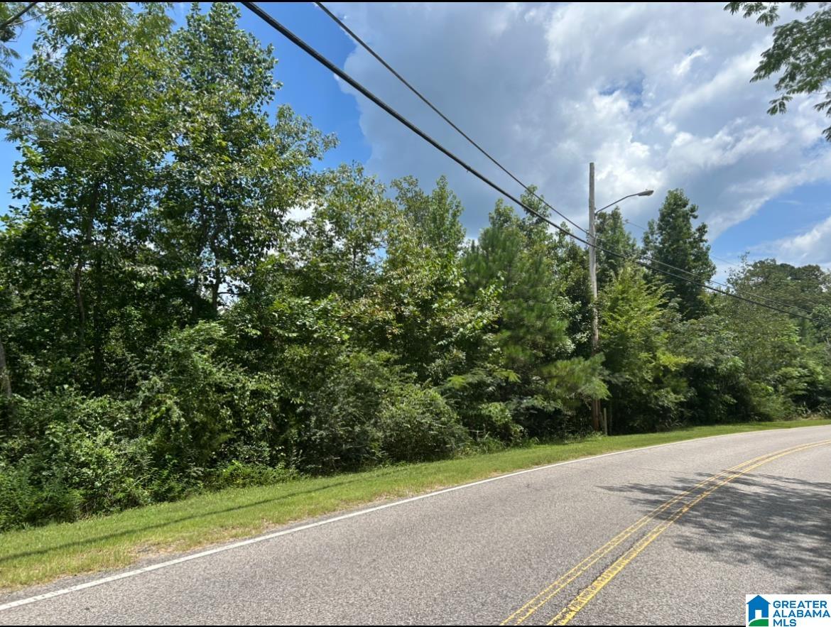 Homes for sale in West Blocton, AL | 23 Acres Truman Aldrich Parkway, West Blocton, AL 35184 | MLS# 21426840