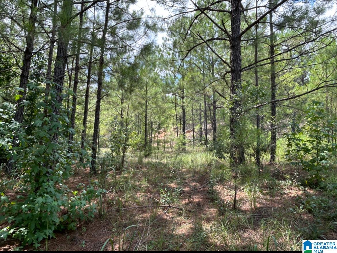 Homes for sale in West Blocton, AL | 23 Acres Truman Aldrich Parkway, West Blocton, AL 35184 | MLS# 21426840